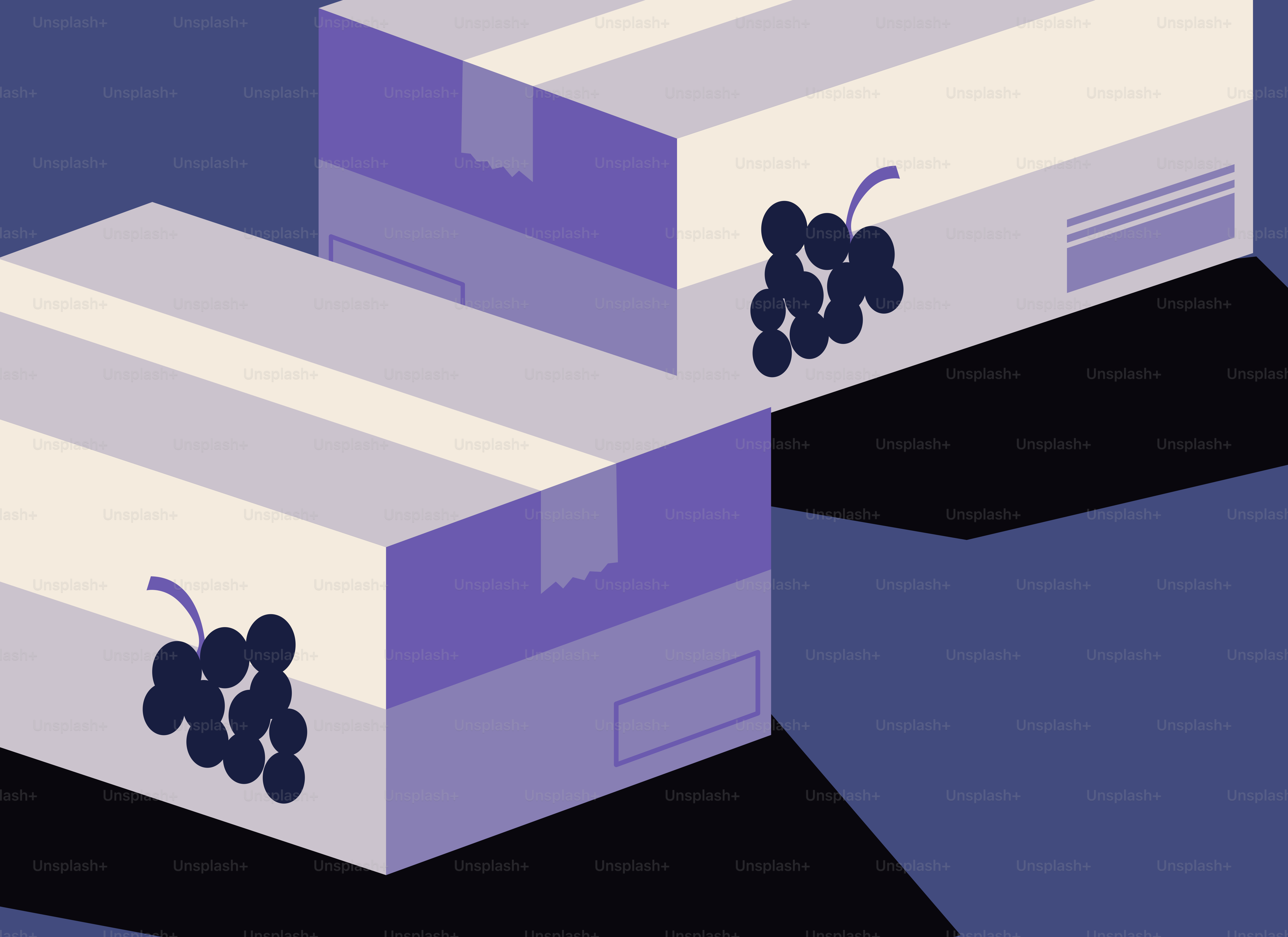 Two boxes with grapes on a dark background