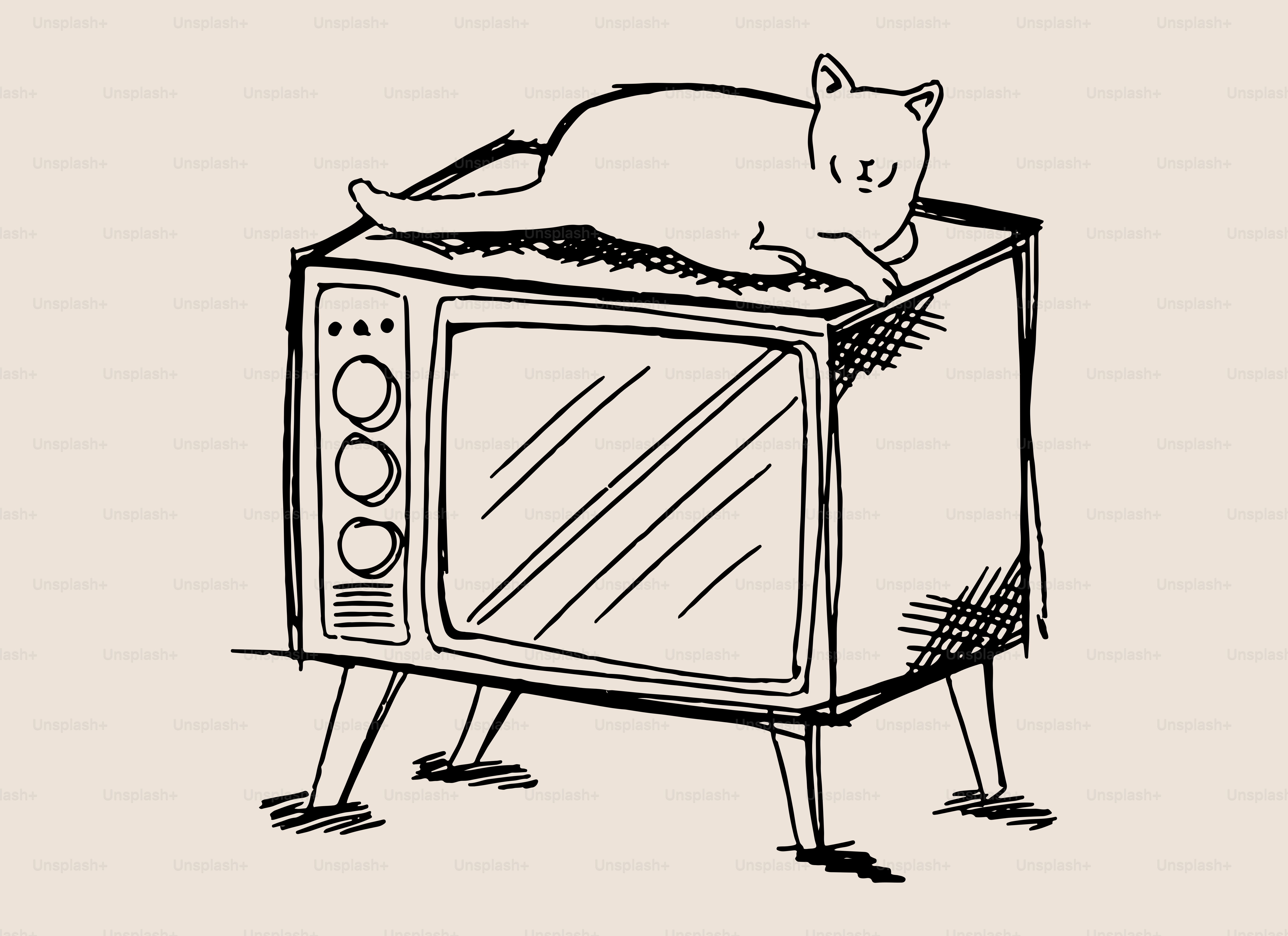 古いテレビの上に猫が置かれています