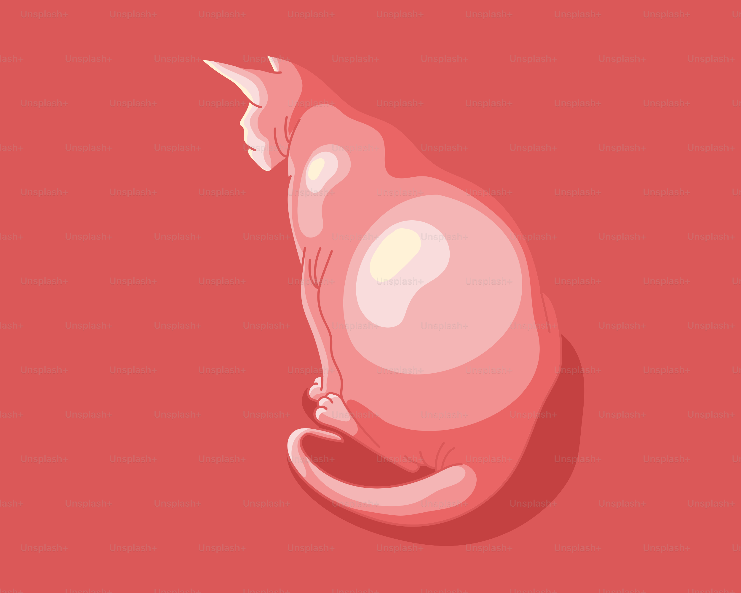 A stylized pink cat sits against a red background.