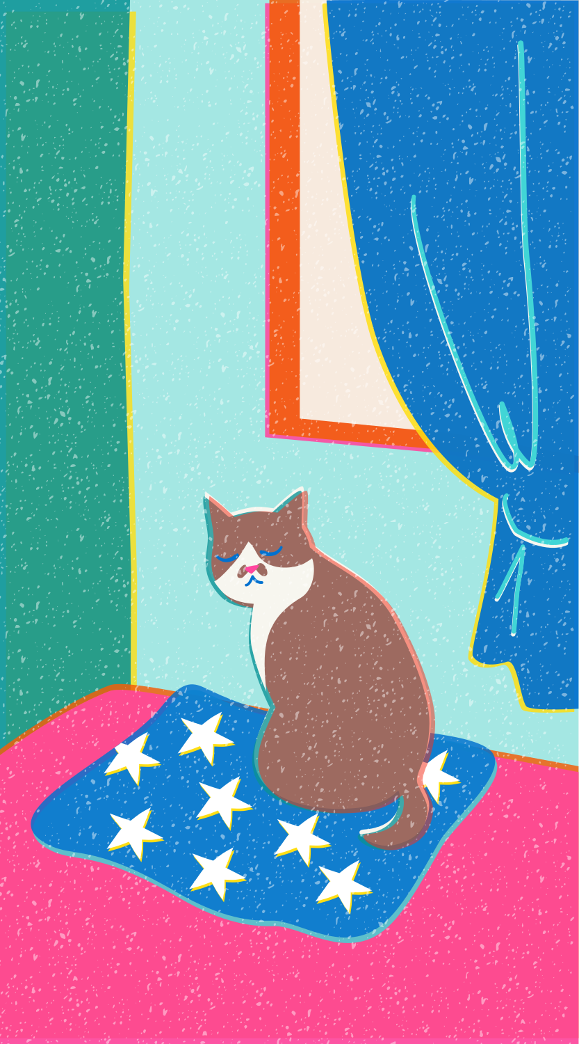 A cat sits on a star-patterned cushion near a window.