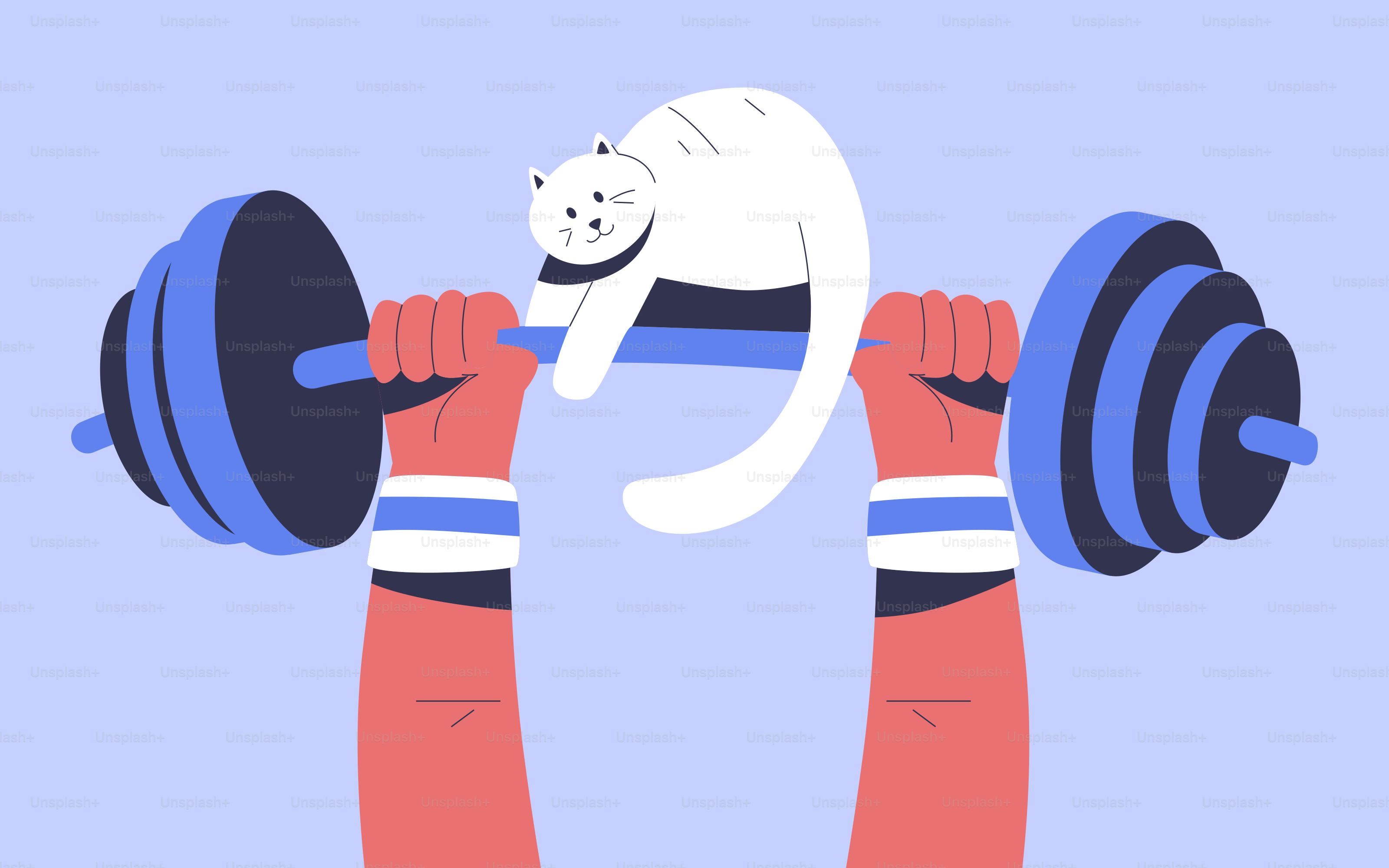 White cat rests on barbell held by hands