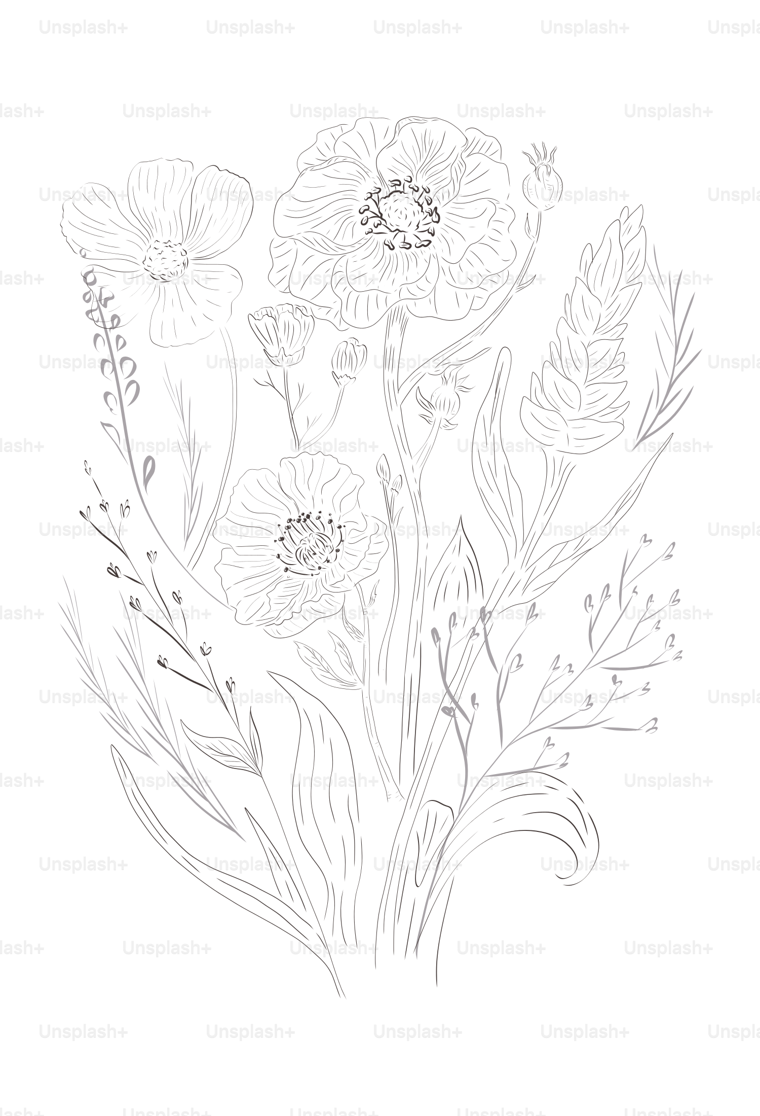 A delicate line drawing of various flowers and leaves.