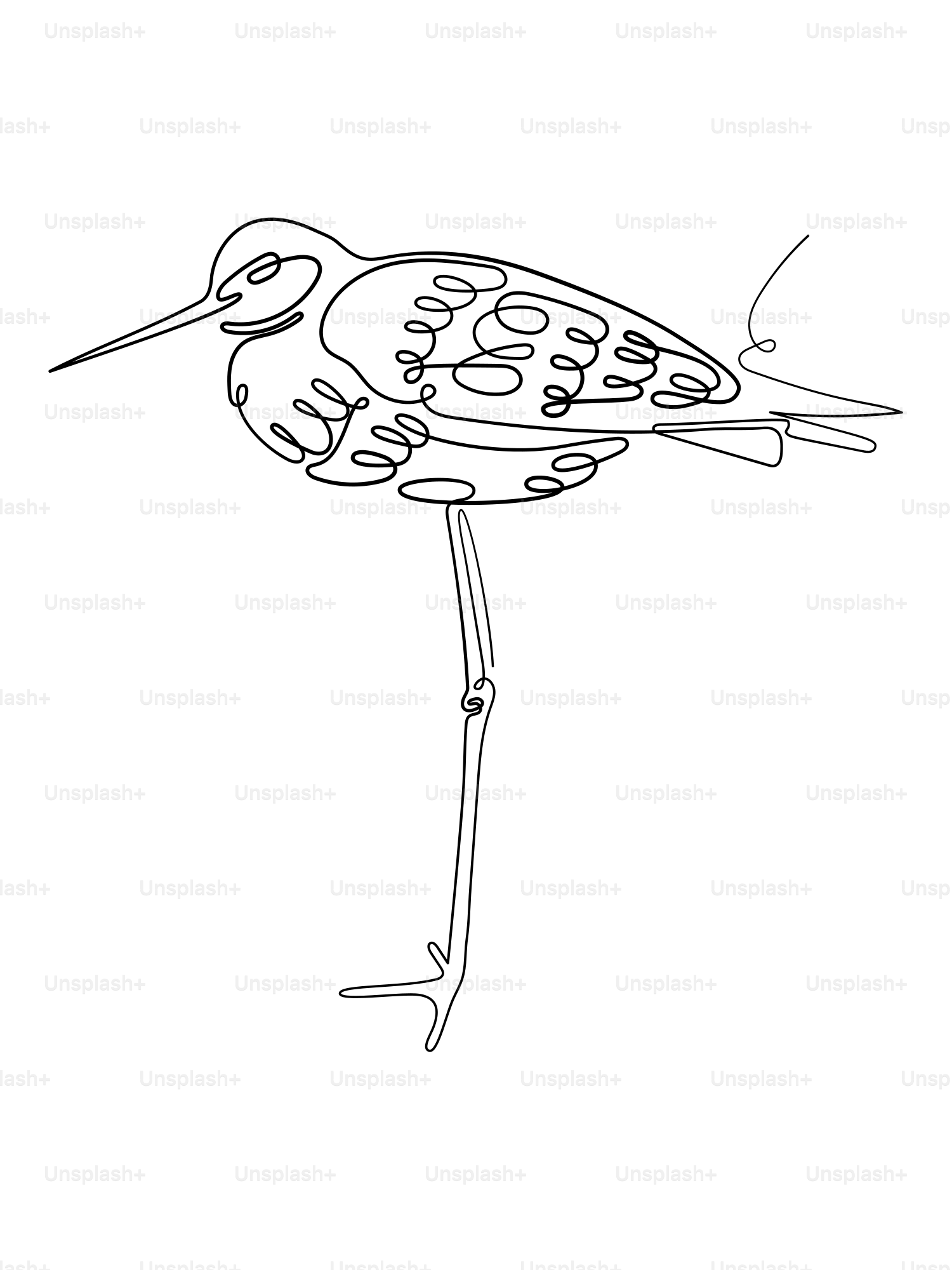 Minimalist line art of a wading bird standing.