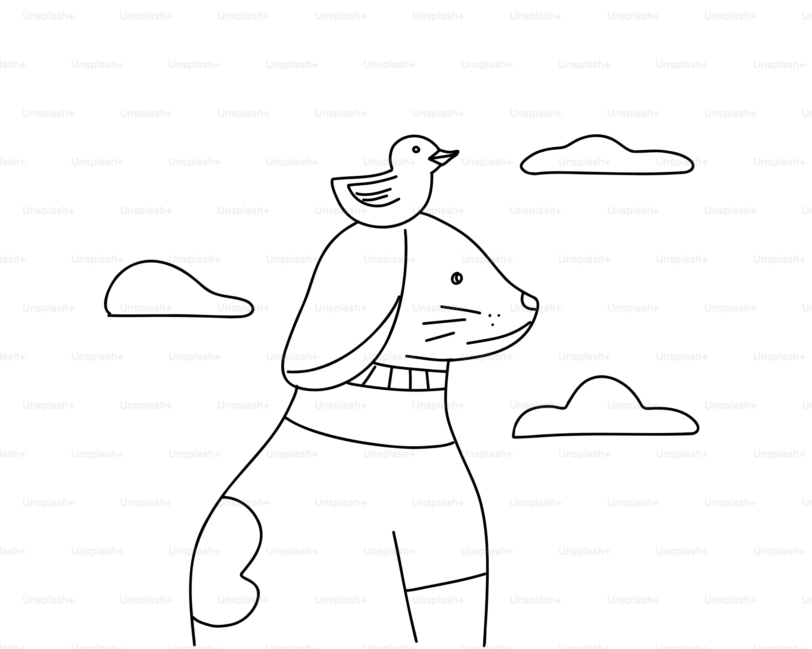 A bird perched on a dog's head