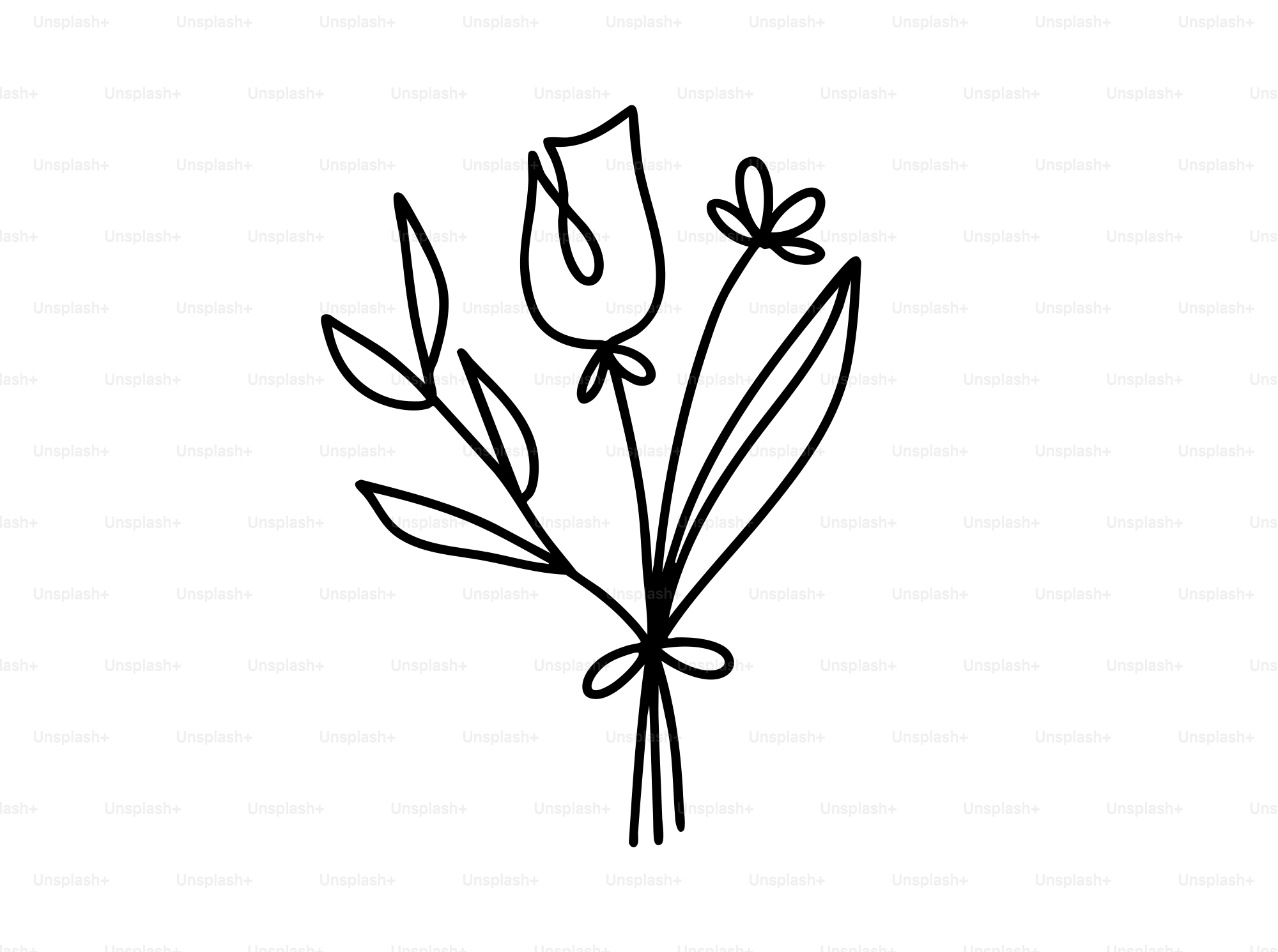 4~아름다운 무료 이미지・디자인・샘플・템플릿 - Canva(캔바) 페이지, image size:3000x2236