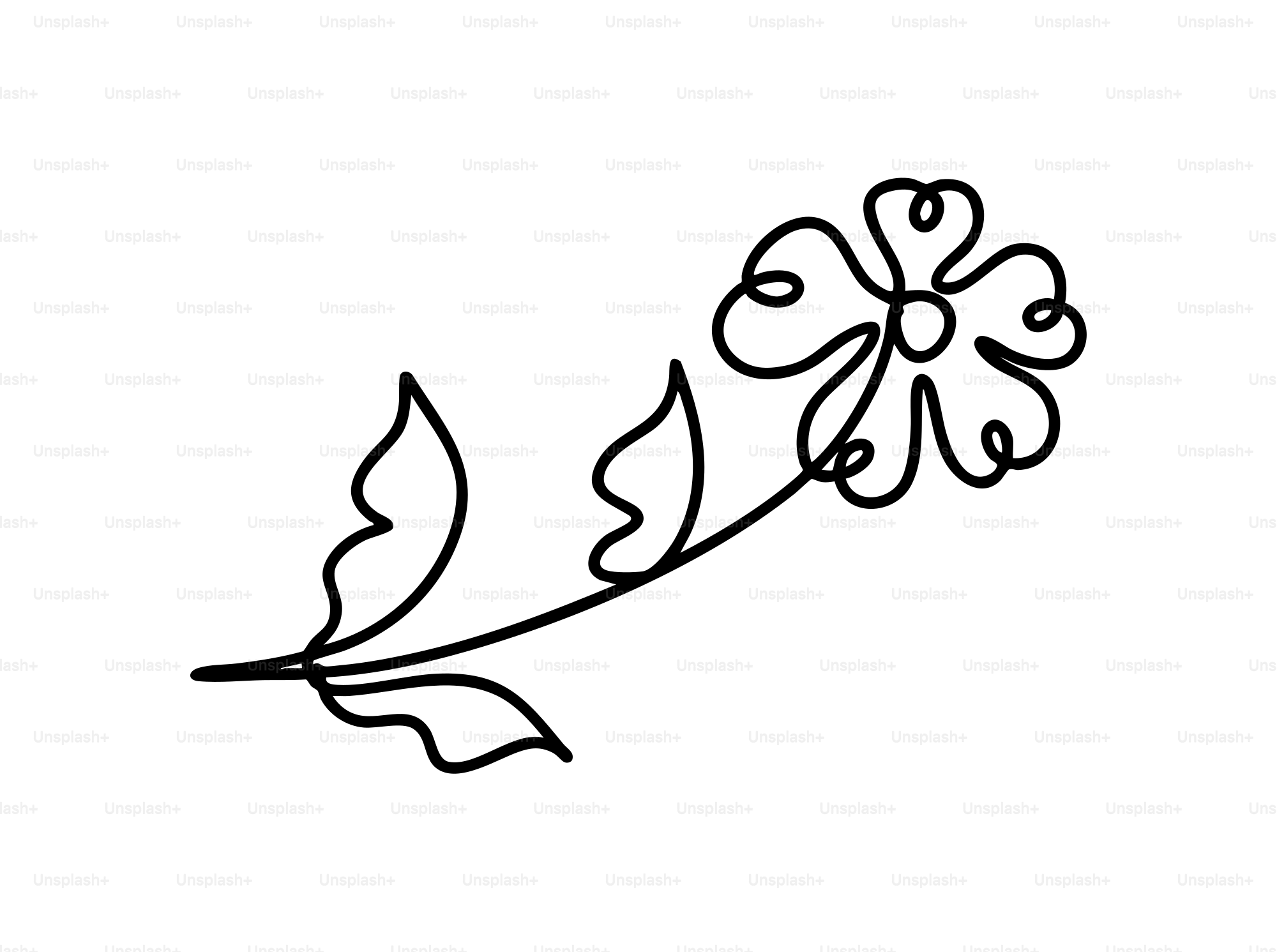 Flying Tiger Copenhagen, image size:3000x2236