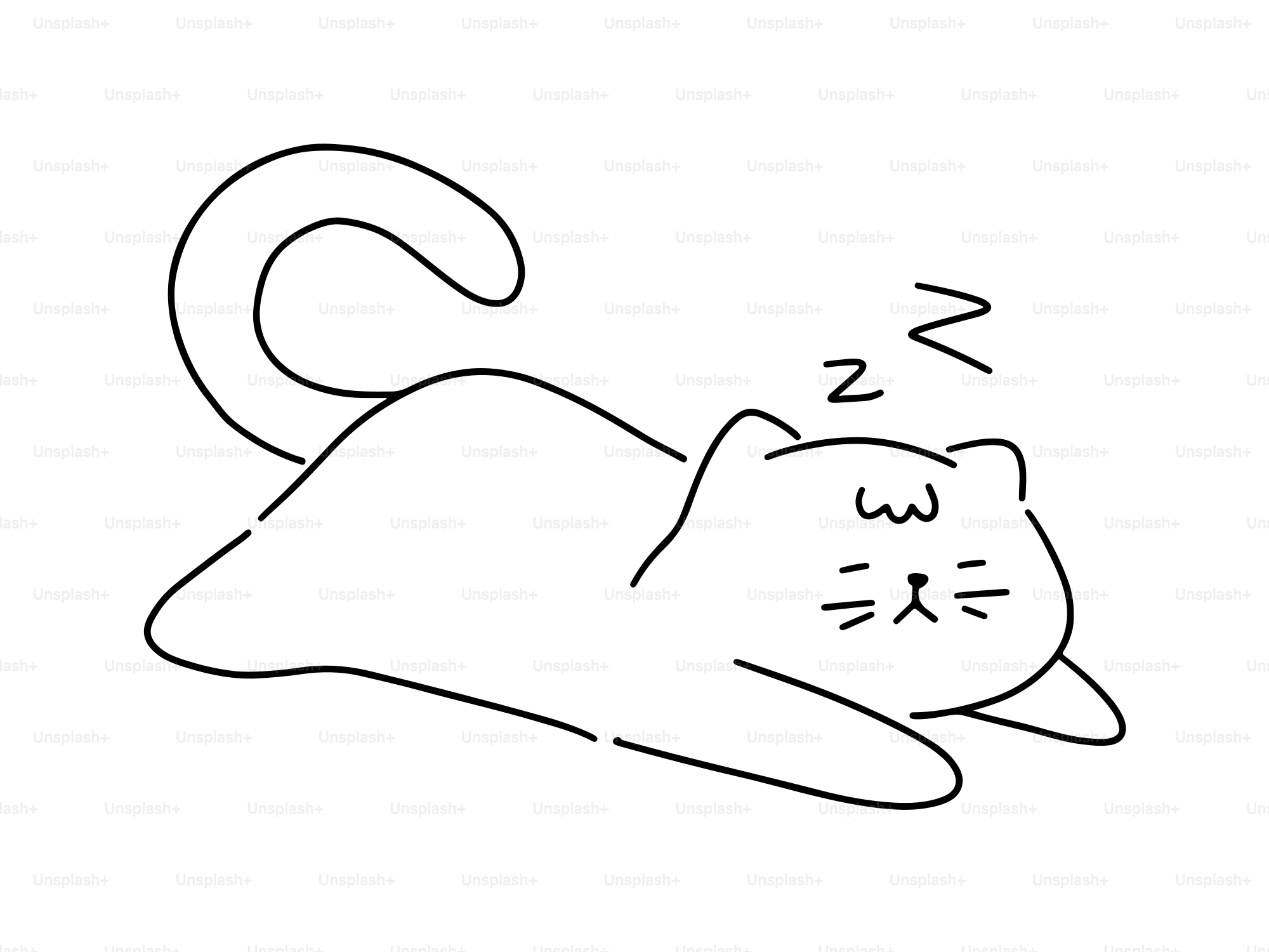 A cute cat is sleeping soundly