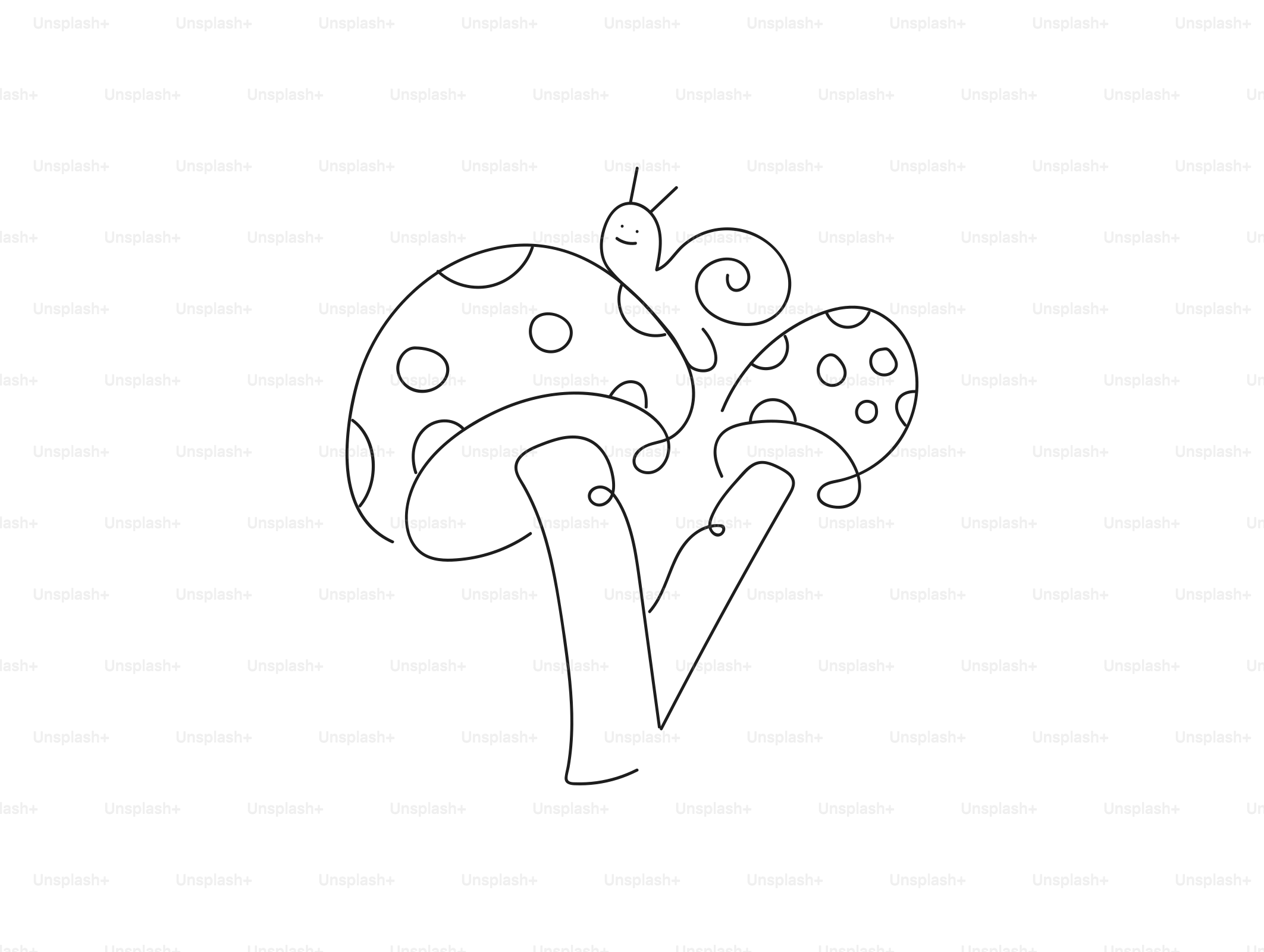 Un escargot sur deux champignons