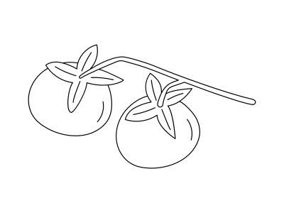 Dua tomat di pohon anggur