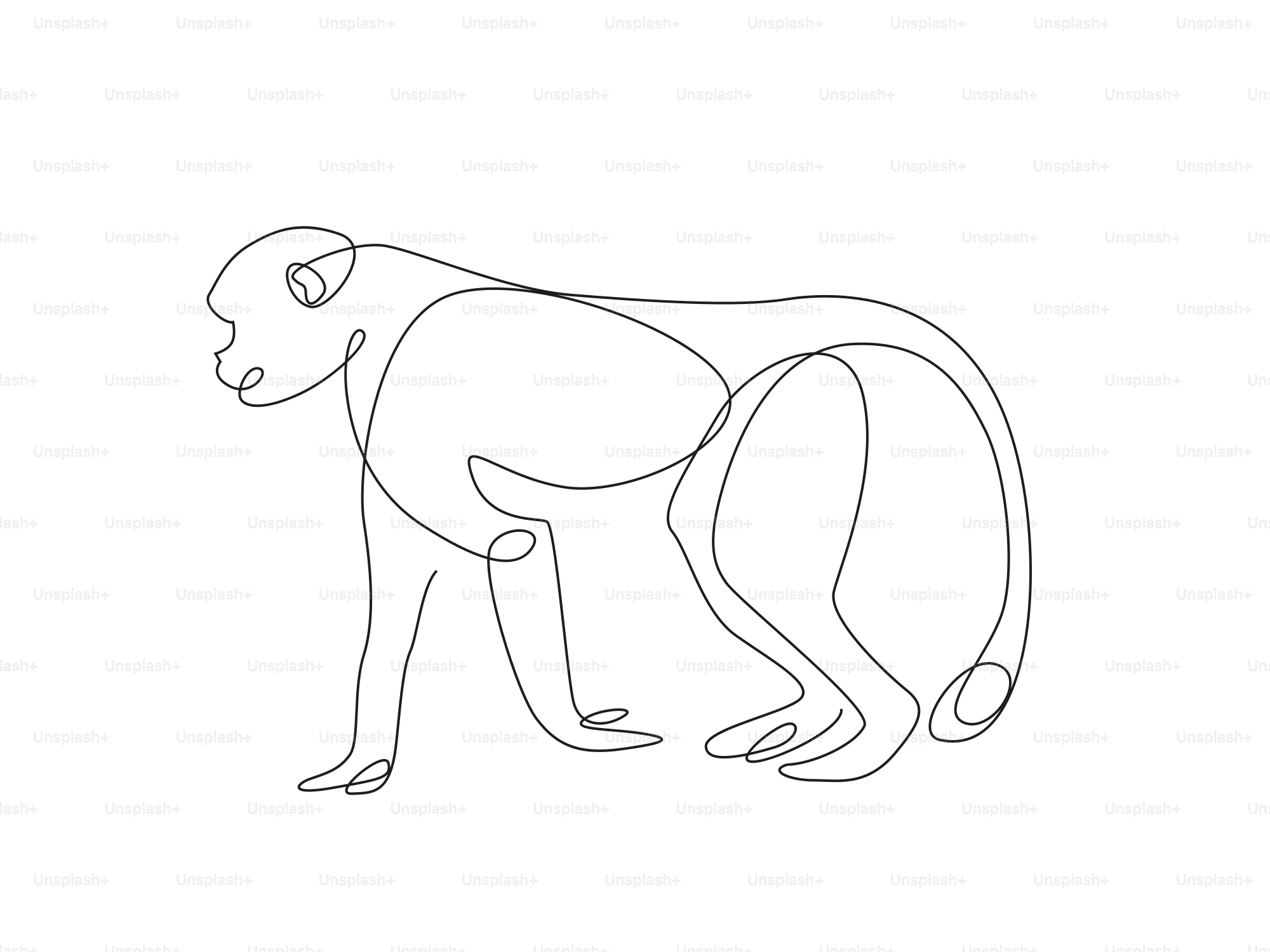 Un dessin au trait continu d’un singe