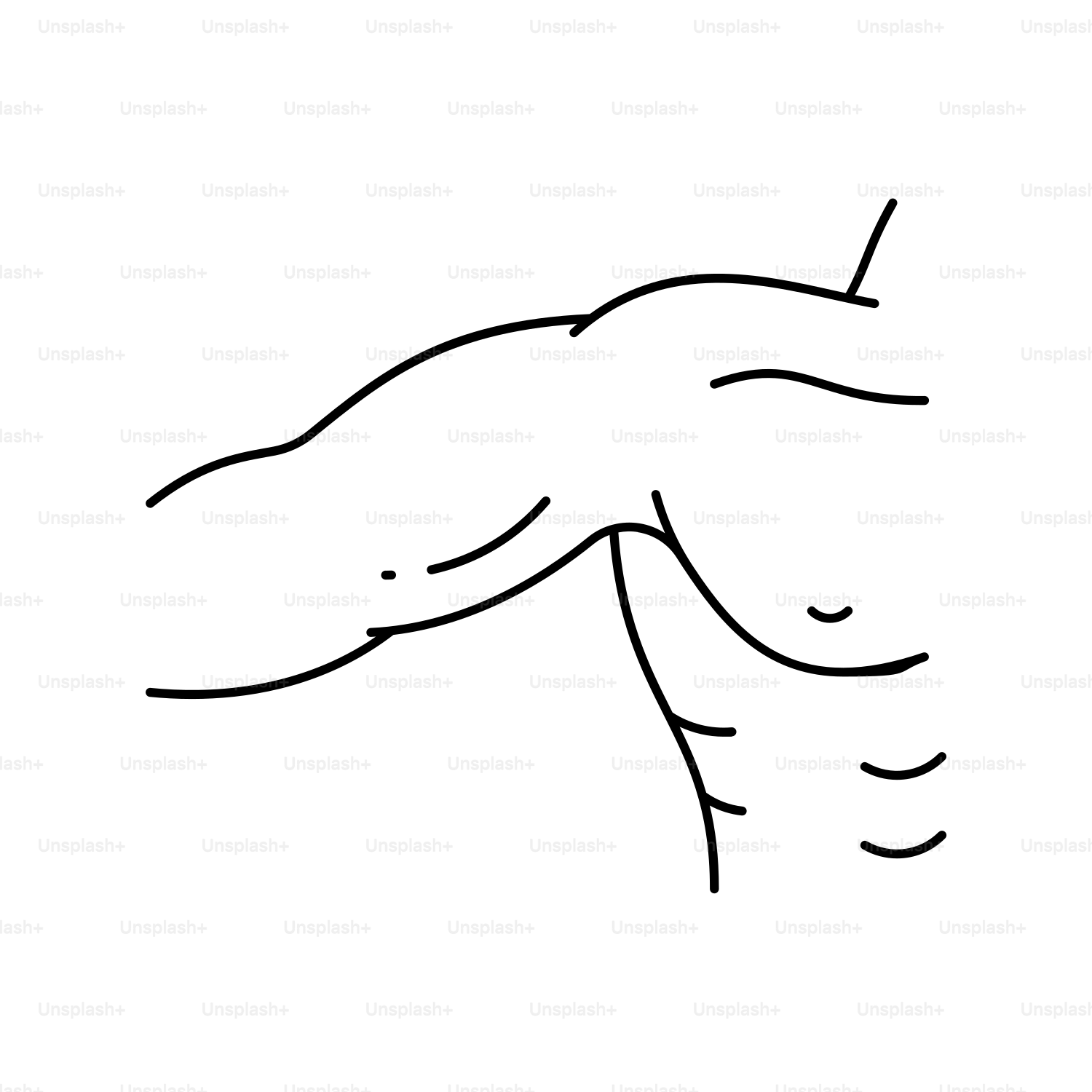 Strichzeichnung eines muskulösen männlichen Oberkörpers und Arms