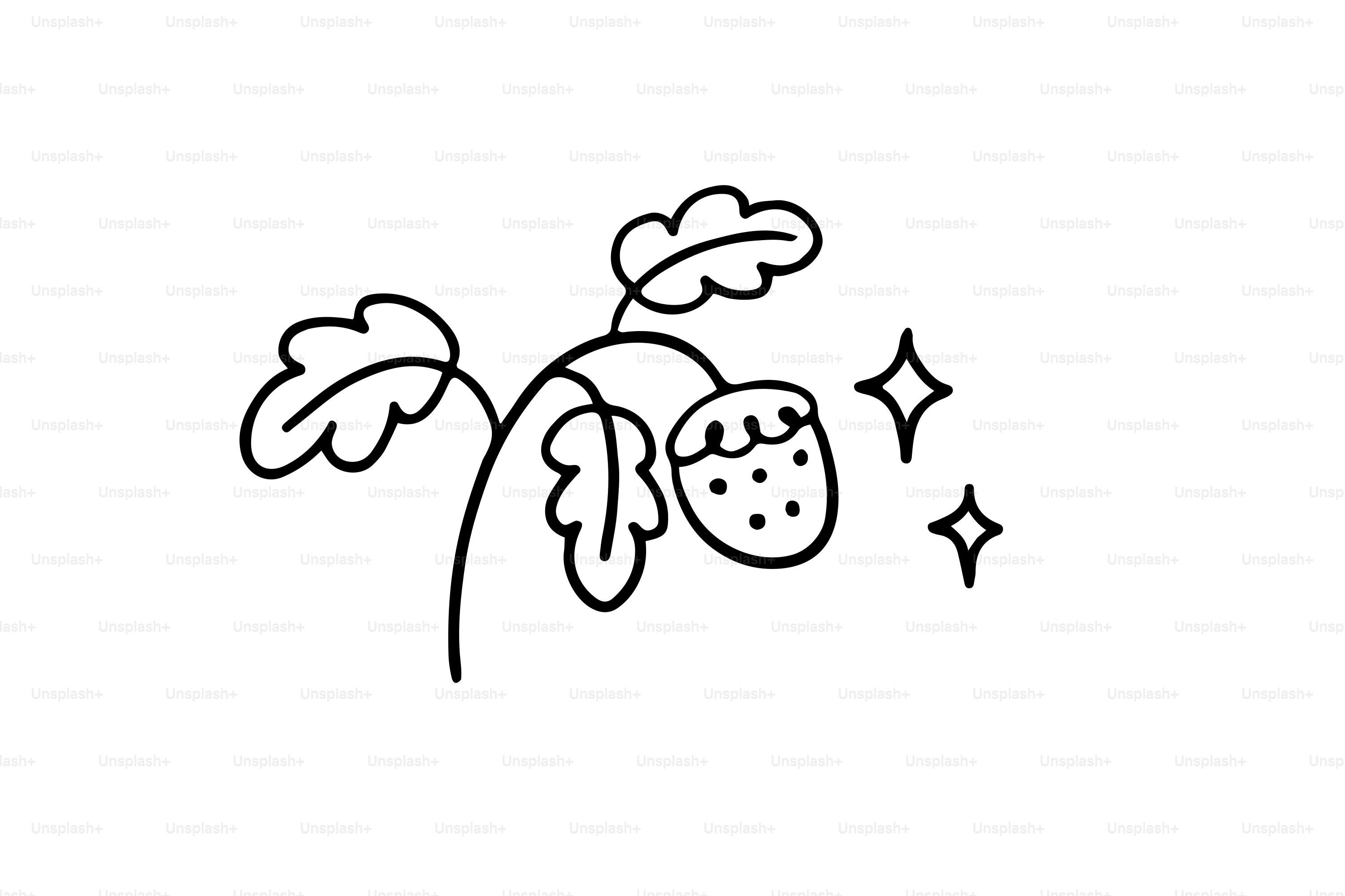 식물에 딸기를 그린 간단한 선화. 벡터 – Unsplash의 음식 이미지, image size:3000x2000