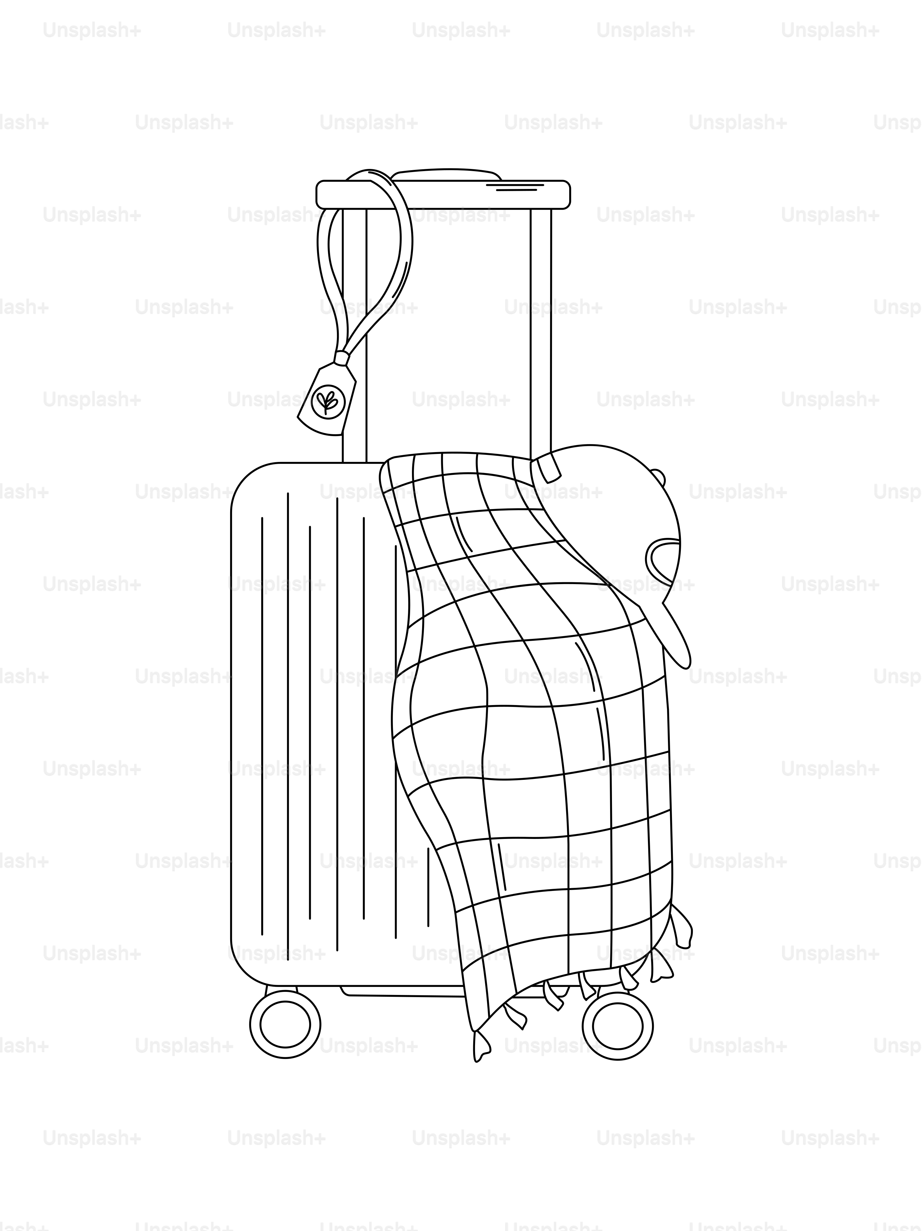 A suitcase with a blanket and hat attached.