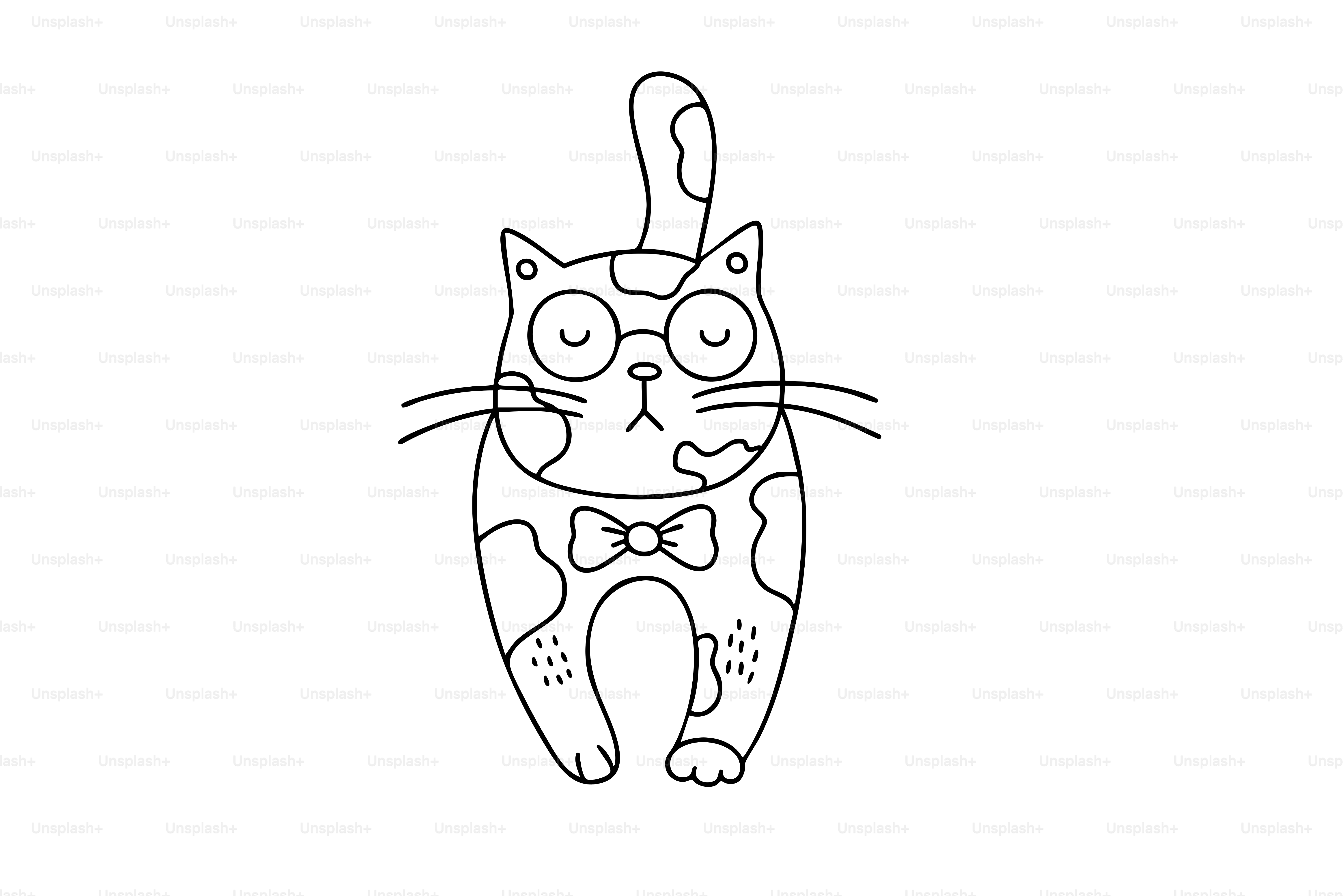 眼鏡をかけて蝶ネクタイをした漫画の猫。のベクター – Unsplashの猫の画像, image size:3000x2000