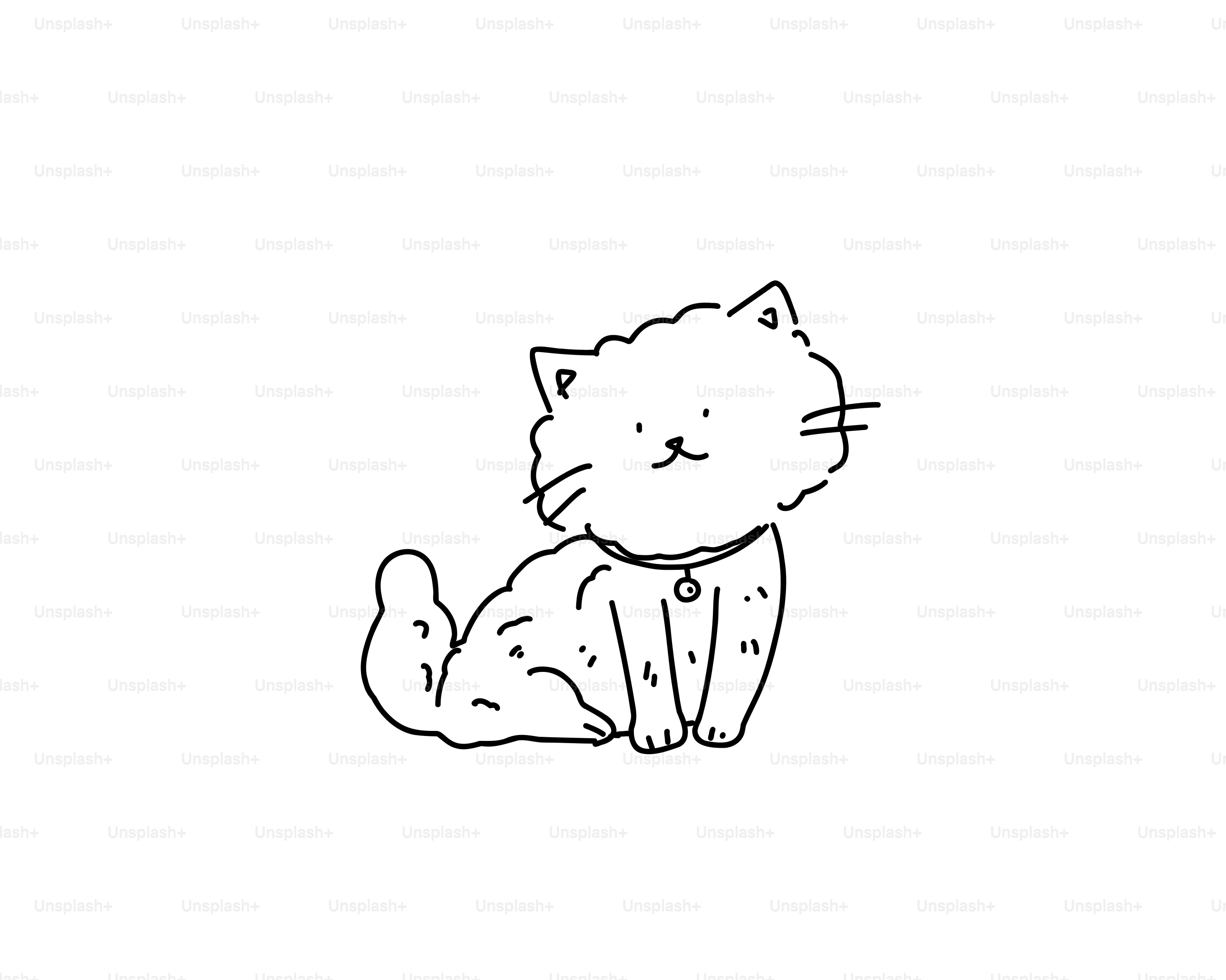 A fluffy cat with a collar sits patiently