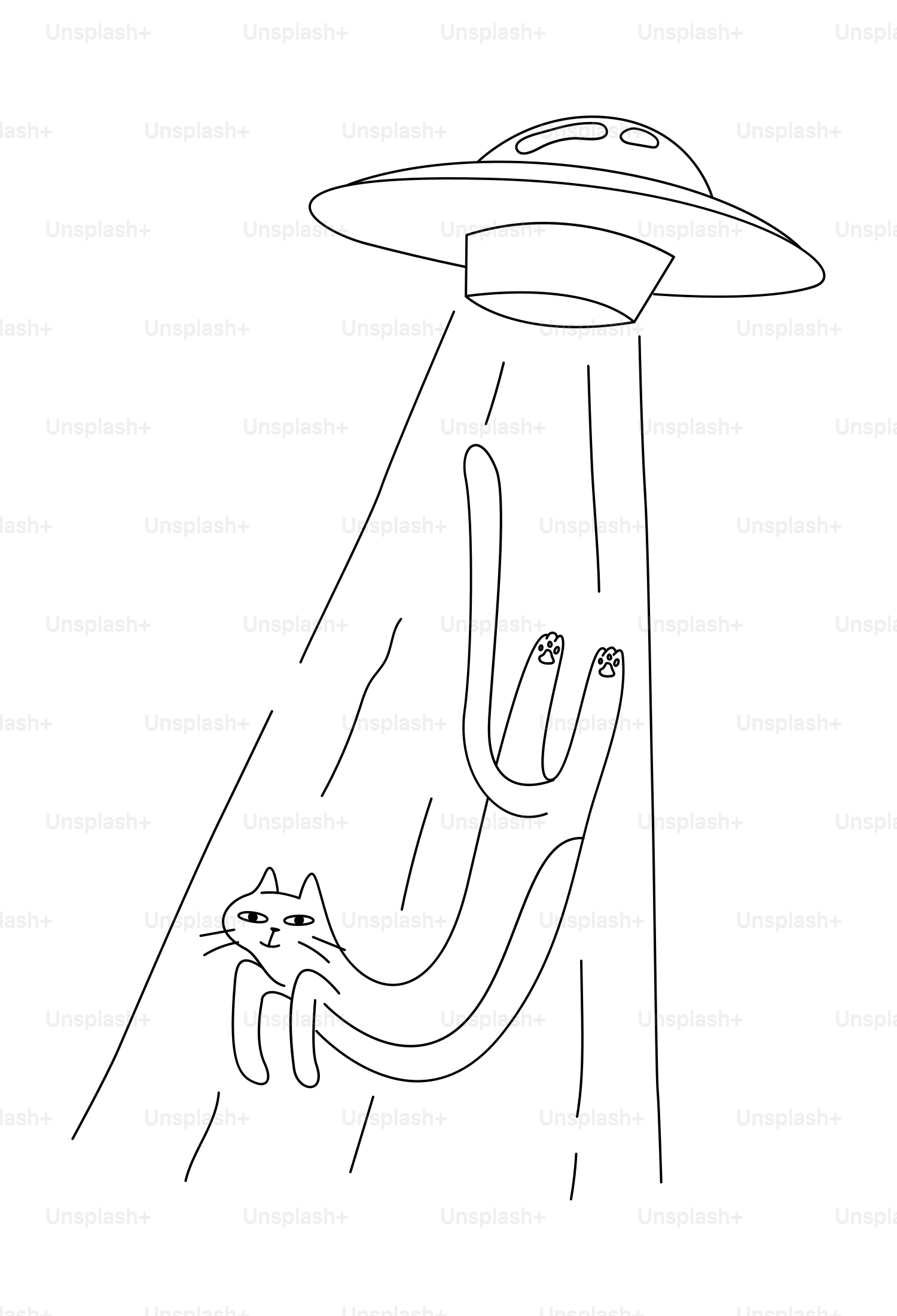 A cat being abducted by a ufo