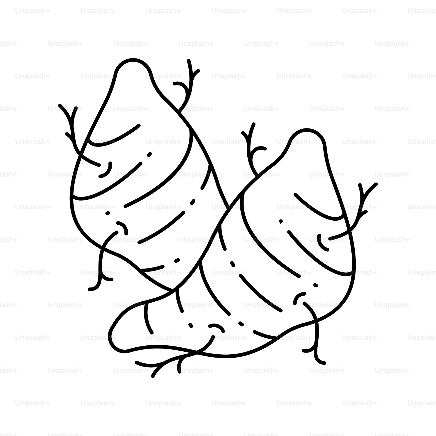 Dos boniatos estilizados con raíces