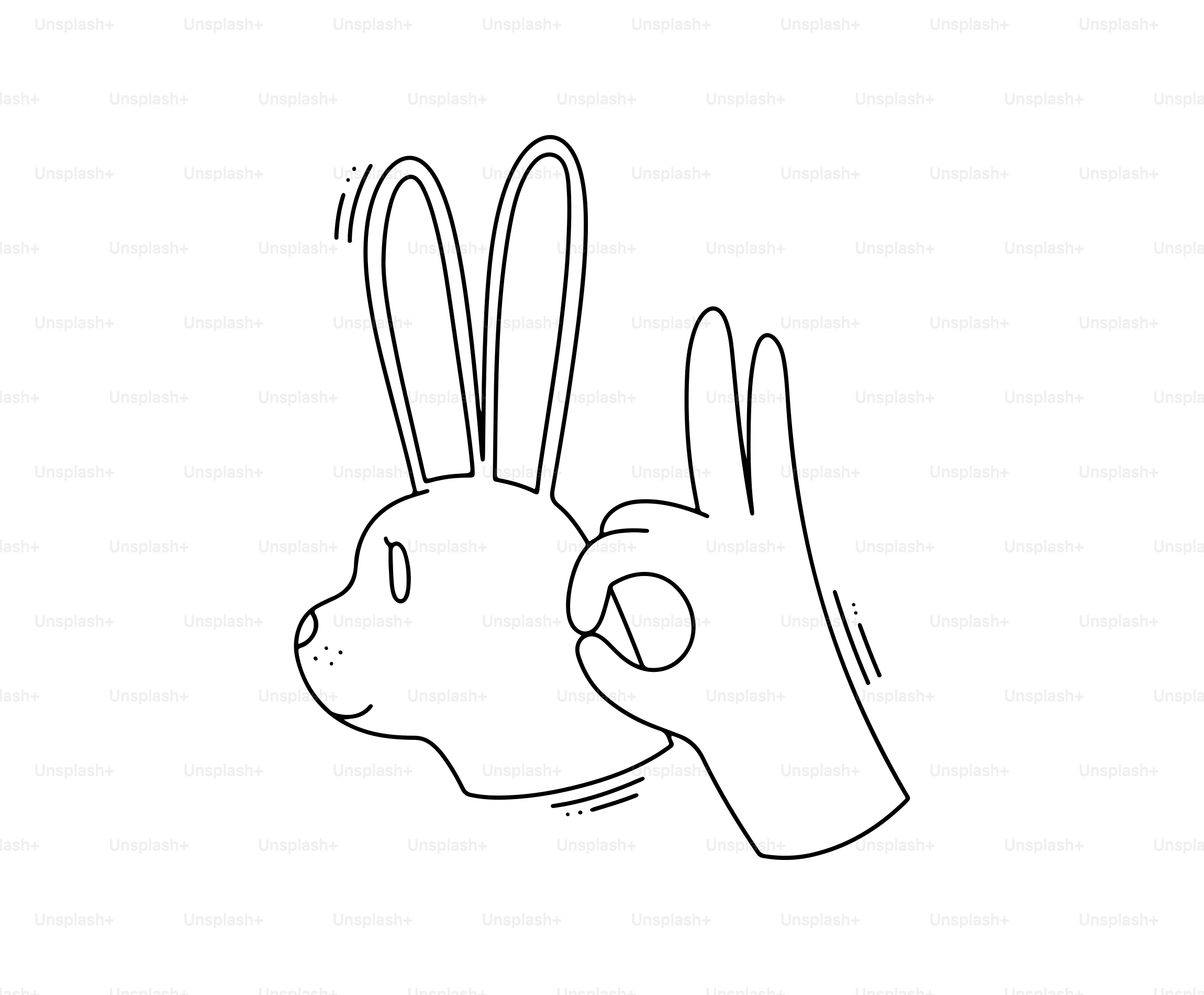 Hand making ok sign near rabbit's head