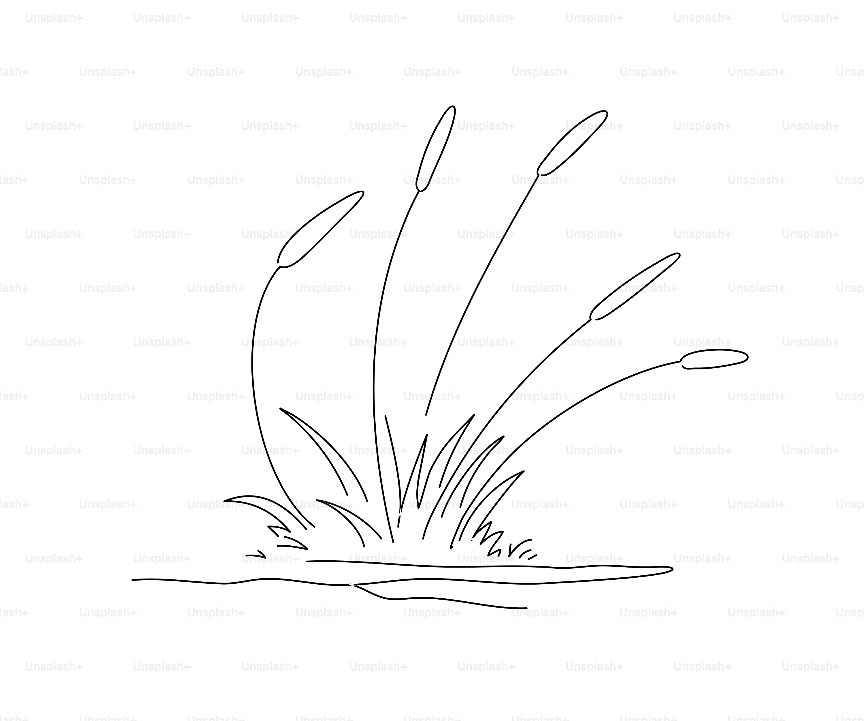 A simple line drawing of cattails growing from water