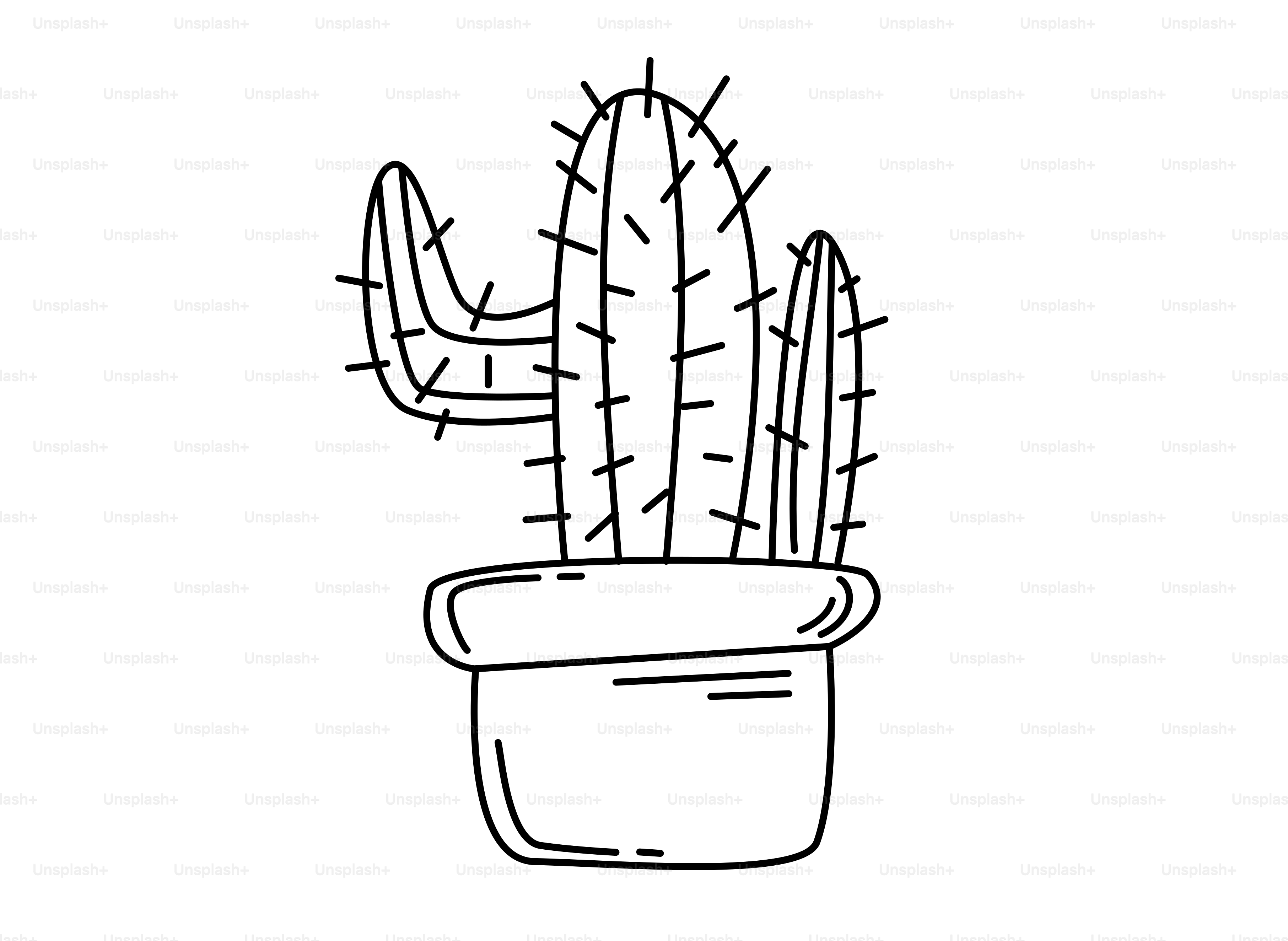 A simple line drawing of a potted cactus.