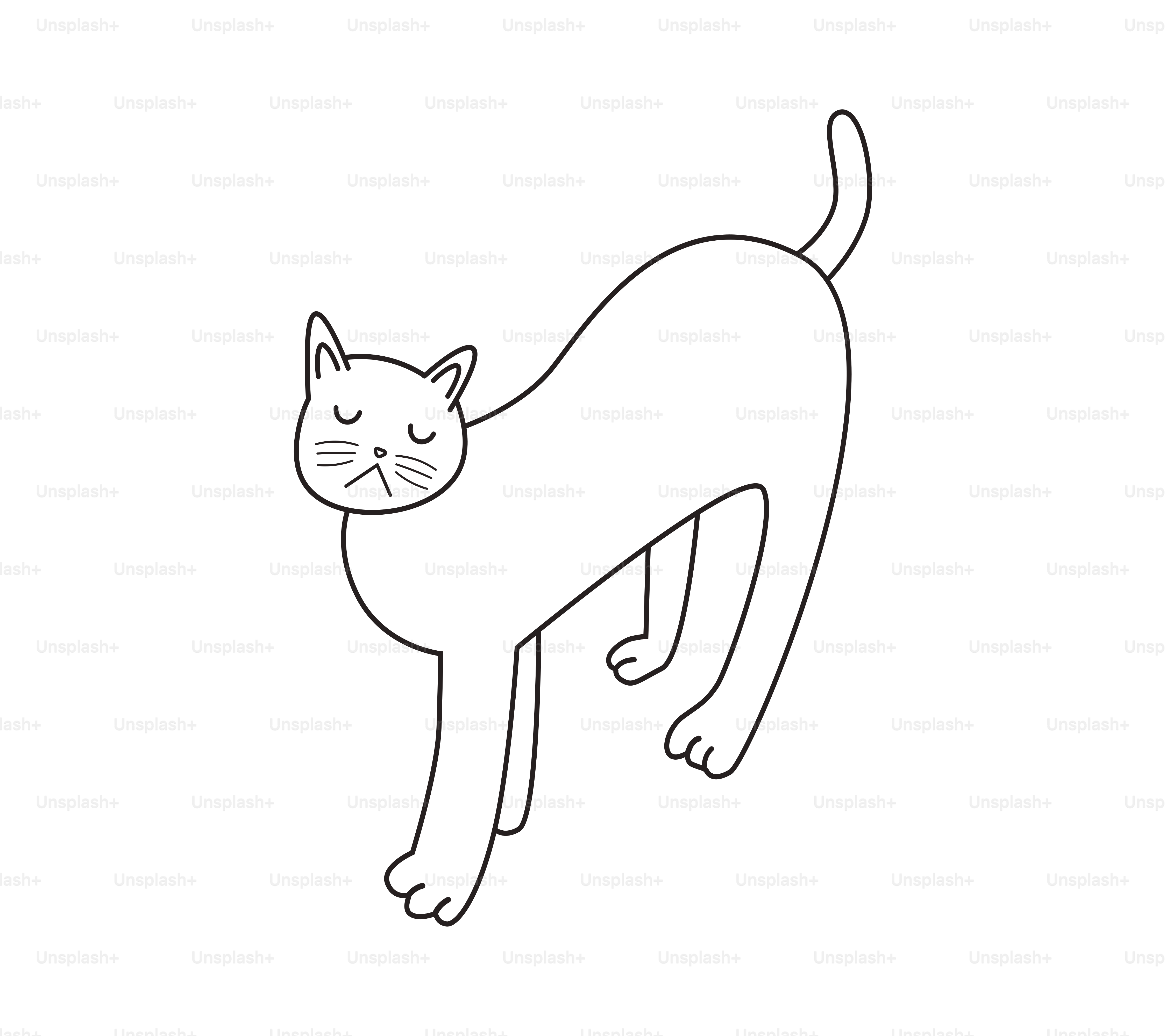 A simple line drawing of a cat.