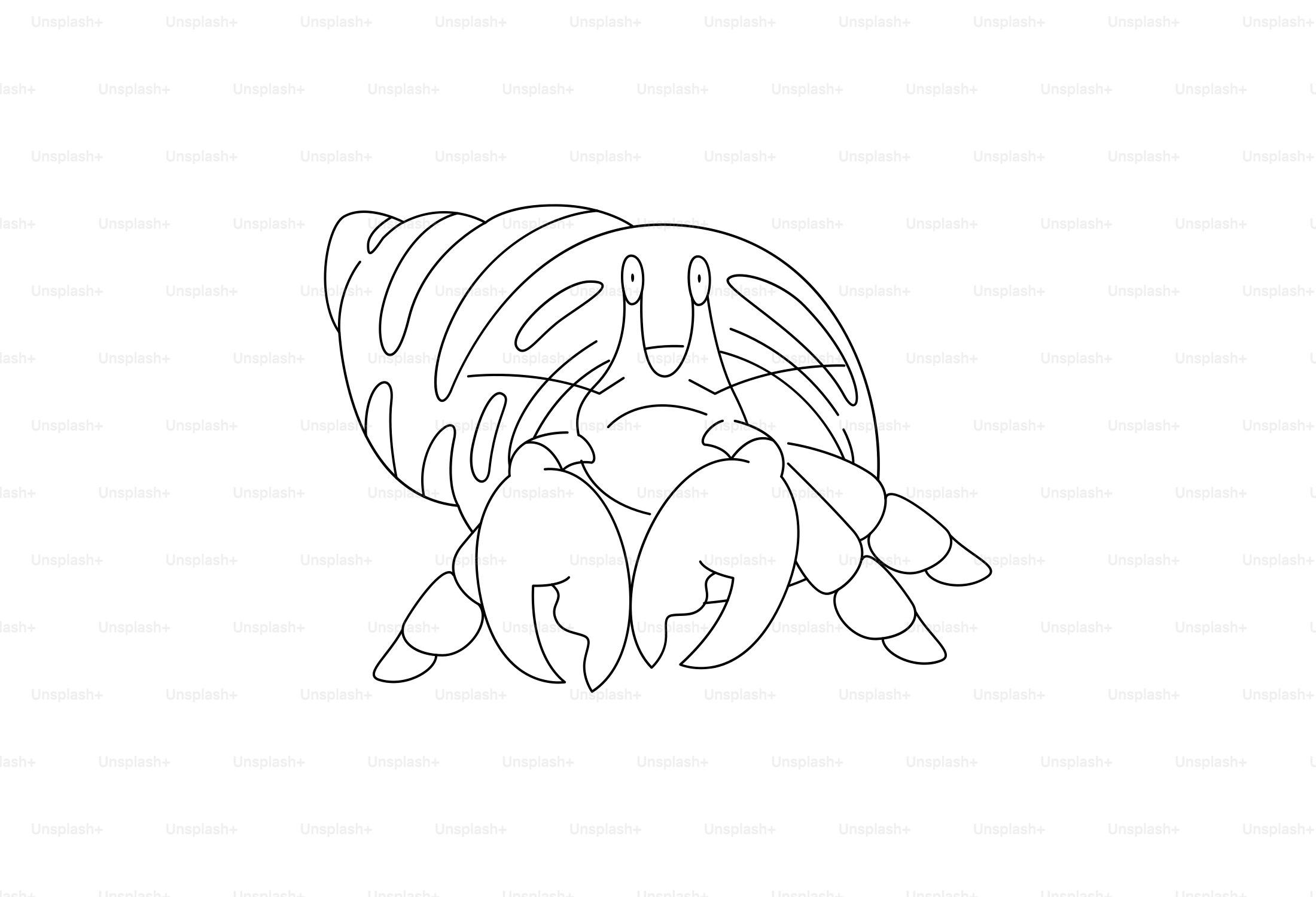 Line drawing of a hermit crab in its shell