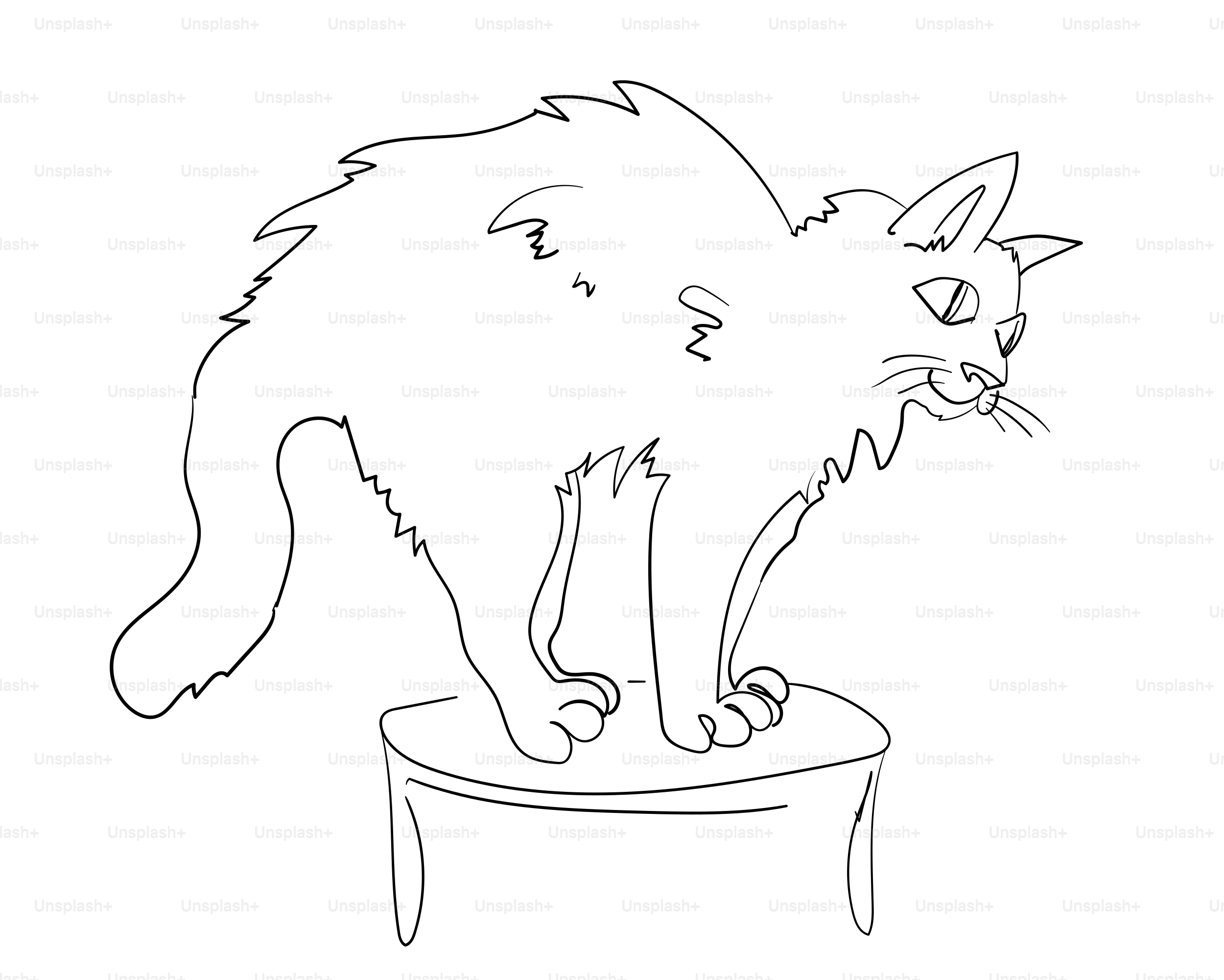 A startled cat arches its back on a small table.