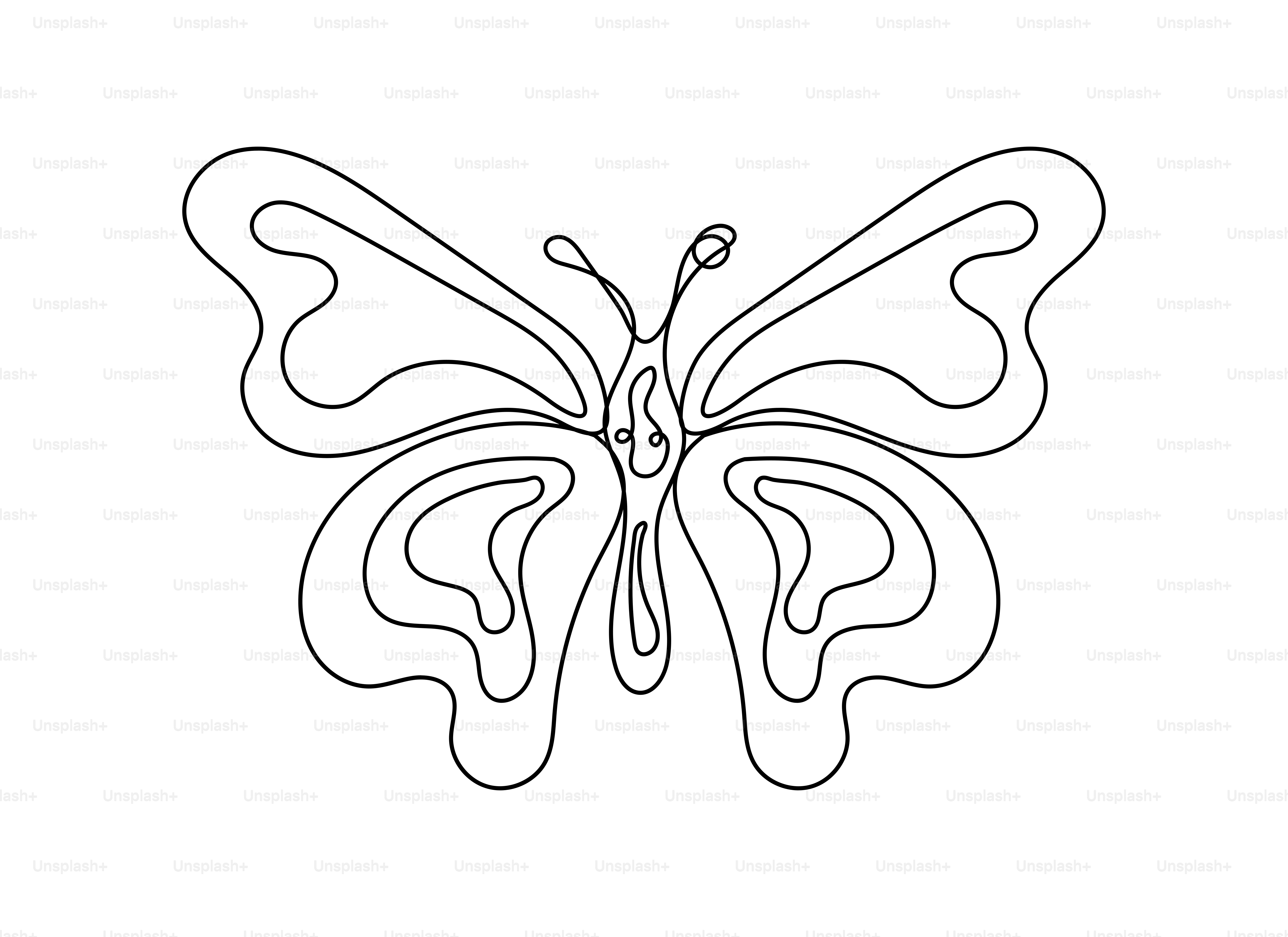 Outline of a butterfly with abstract wing patterns