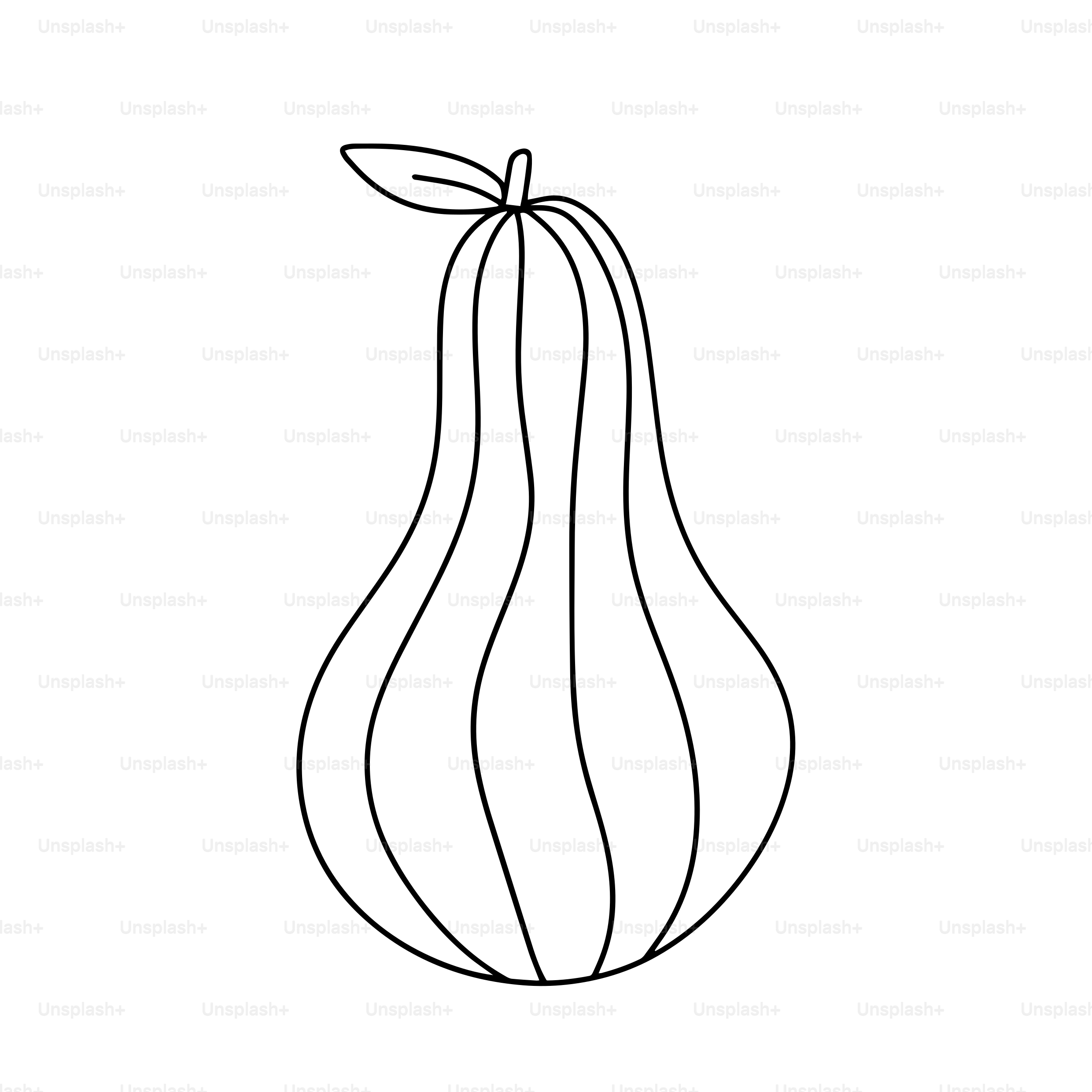 버터넛 스쿼시의 간단한 선화였다. 벡터 – Unsplash의 음식 이미지, image size:3000x3000