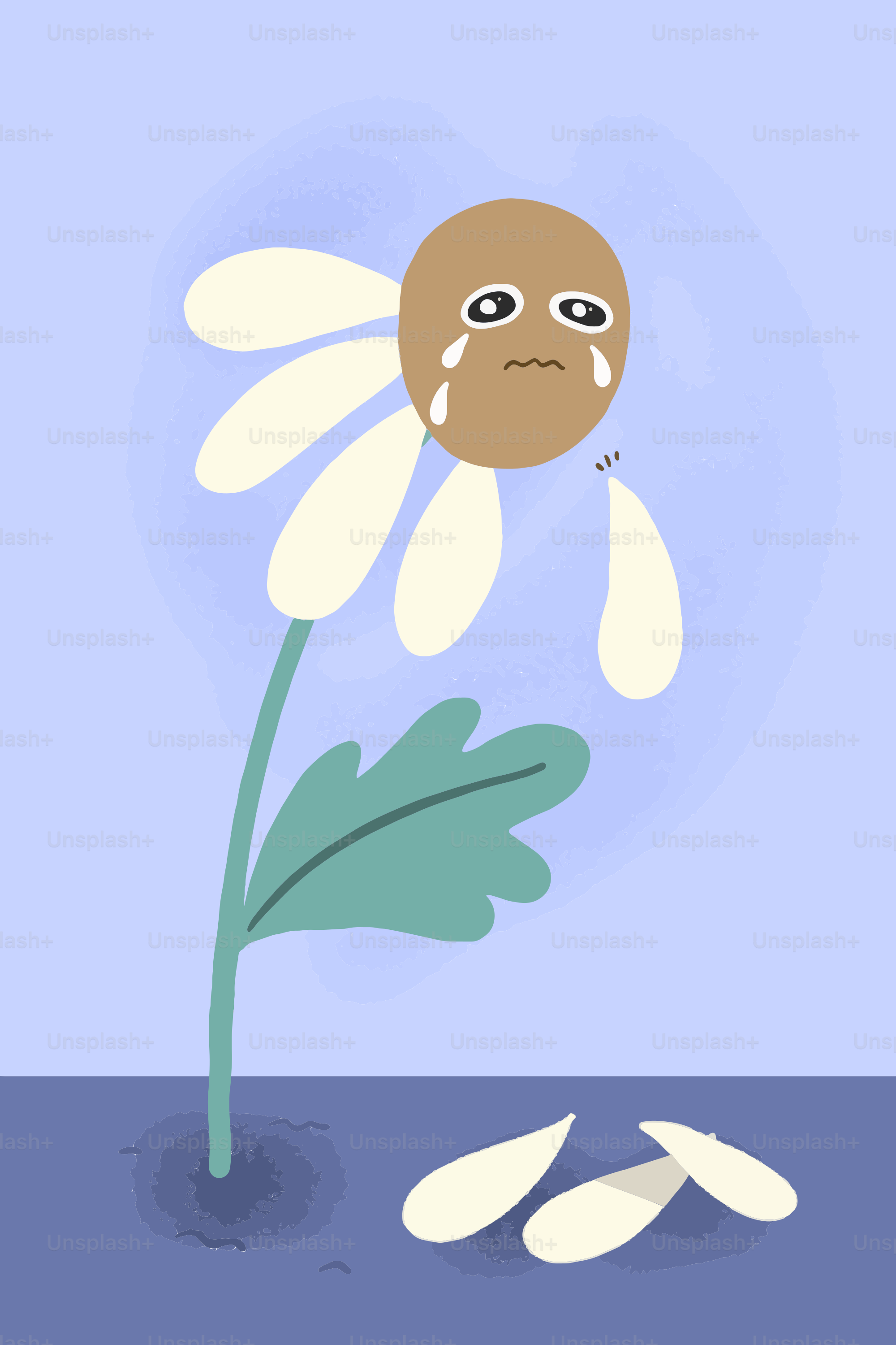 Sad cartoon daisy flower crying petals