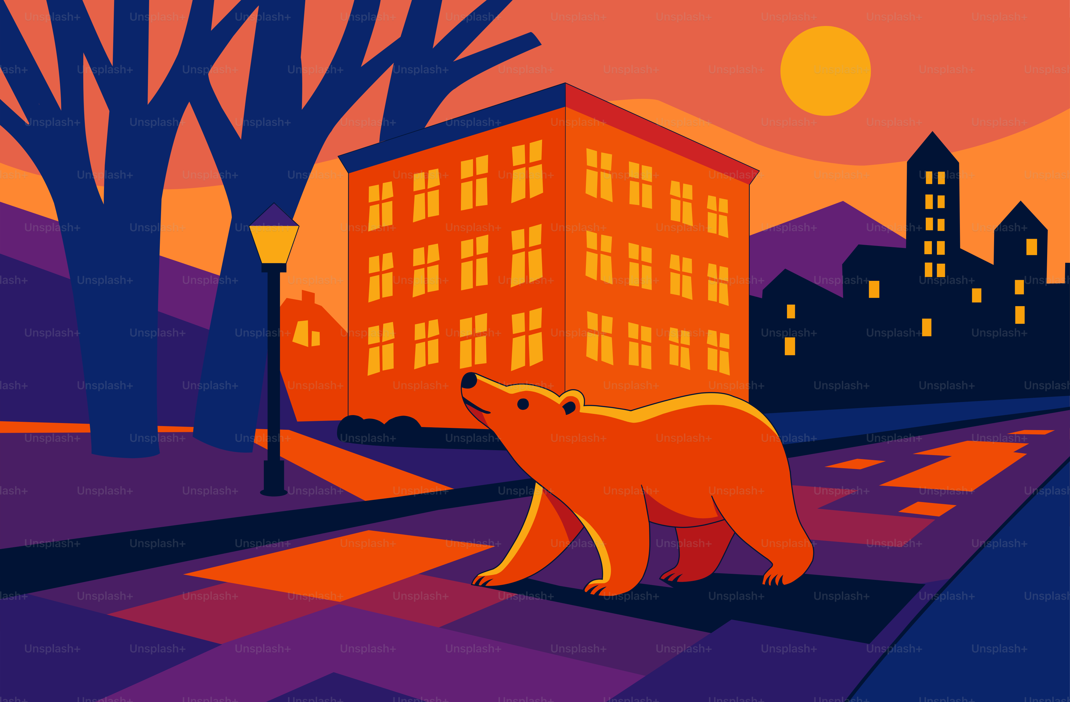 A bear walks down a city street at sunset.