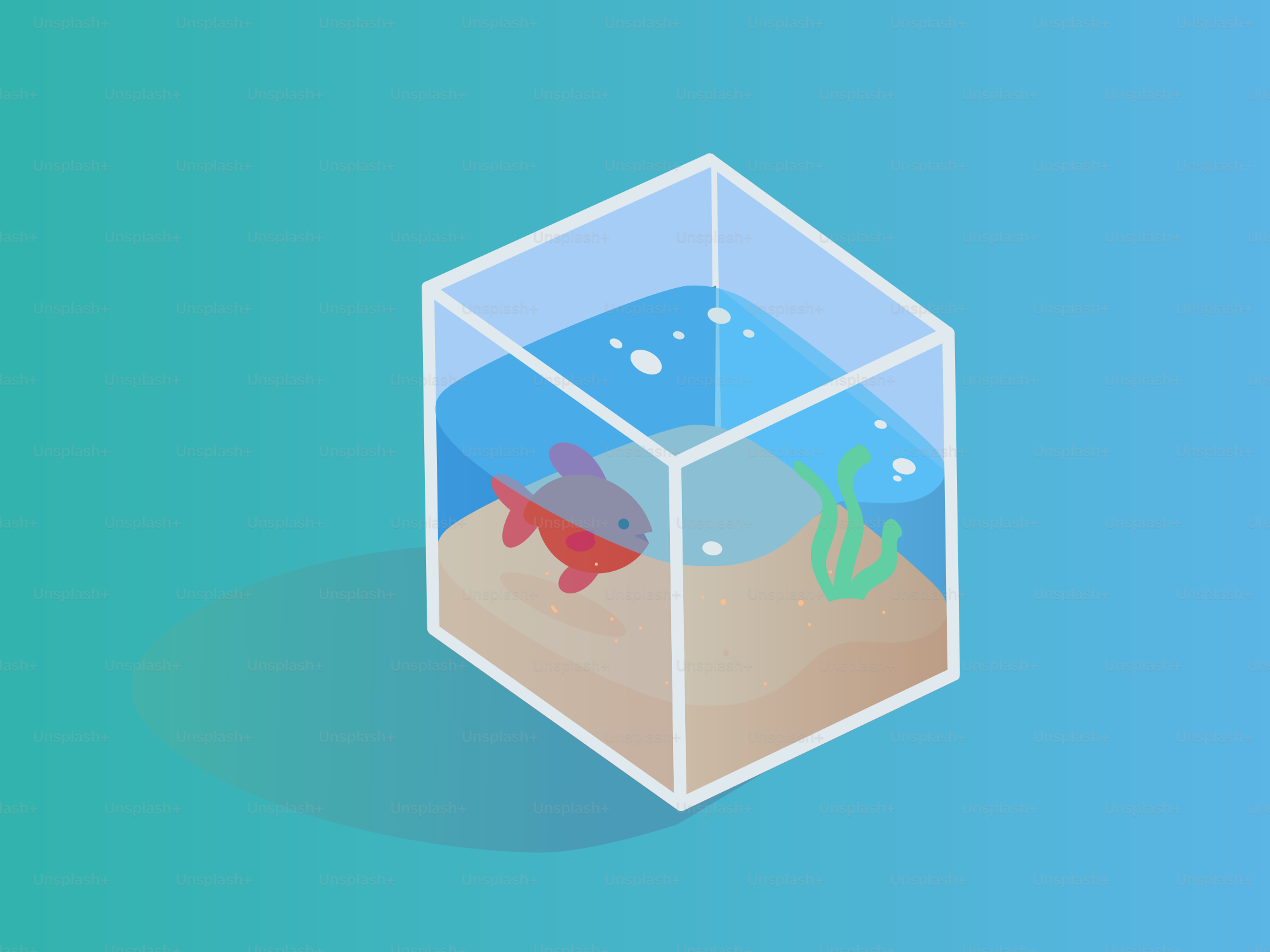 A red fish swims in a small glass fishbowl.