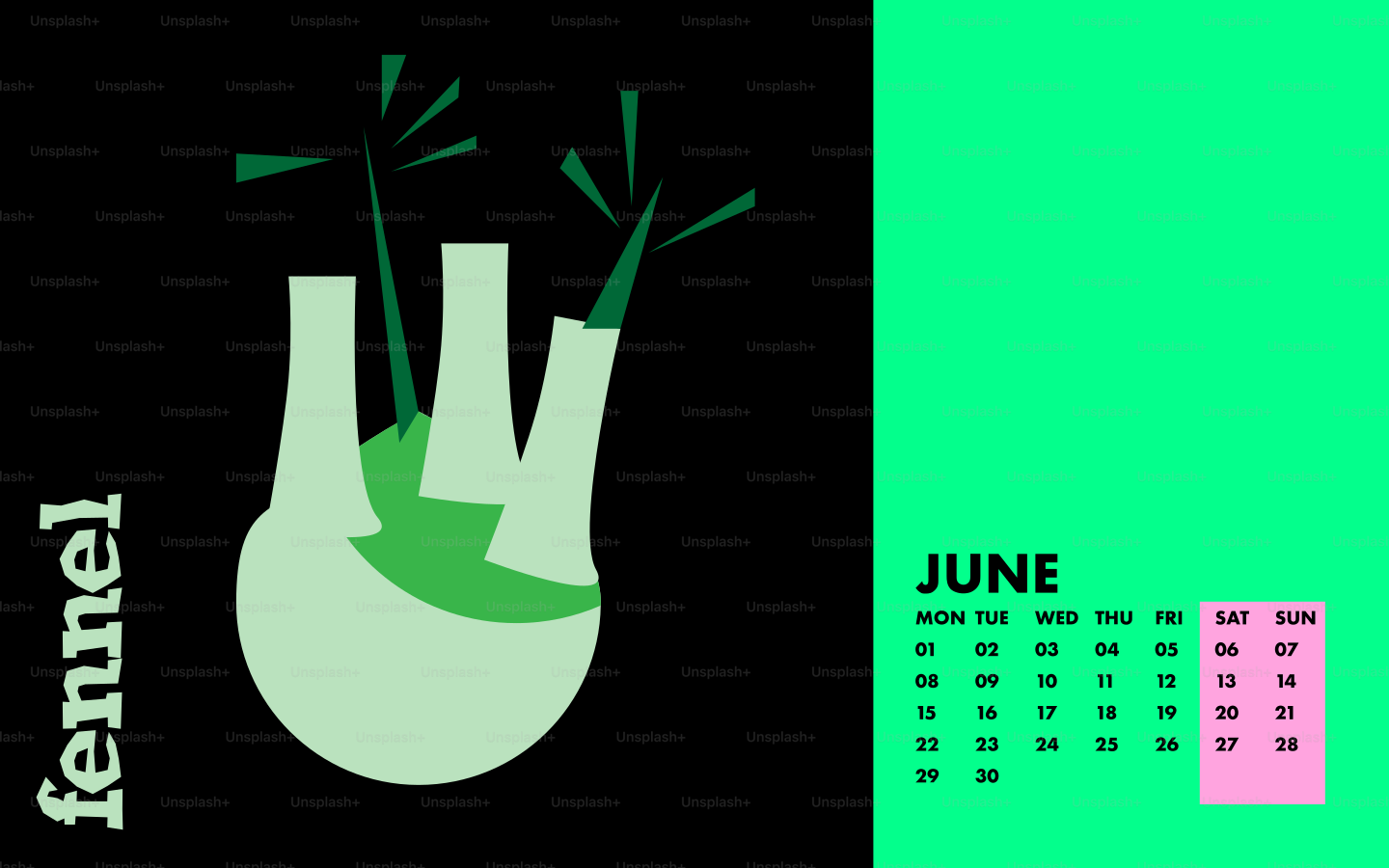 Illustrazione stilizzata del finocchio con calendario di giugno