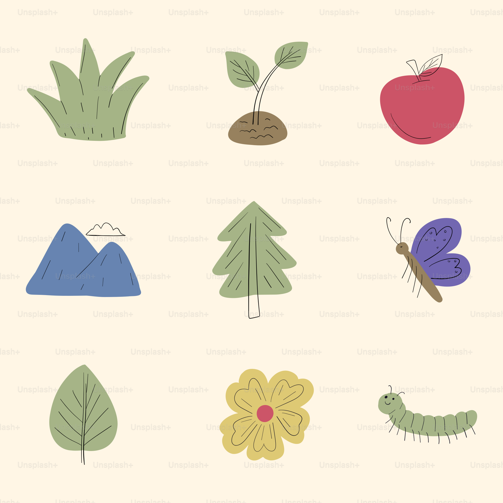 Sammlung naturinspirierter Illustrationen auf cremefarbenem Hintergrund