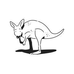 A line drawing of a kangaroo on a white background.