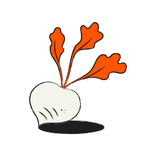 A white turnip with orange leaves and shadow
