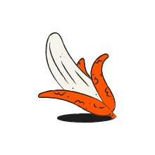Une banane partiellement pelée avec des écorces d’orange
