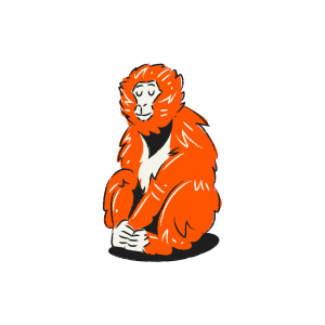 Un singe orange est assis les yeux fermés.