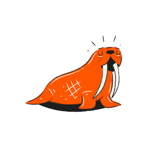 Ein orangefarbenes Walross mit Stoßzähnen