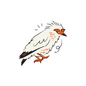 A cartoon bird with white feathers and orange eyes.