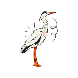 A cartoon heron with orange legs and beak.