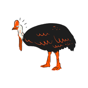 A black cassowary with an orange neck and head.