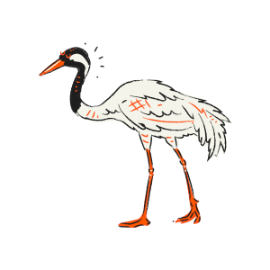 A sketch of a white crane with orange accents.