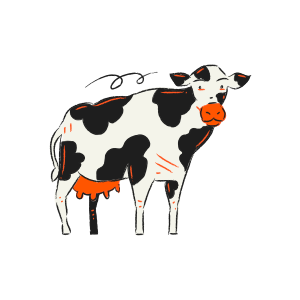 A cartoon cow with black and white spots.
