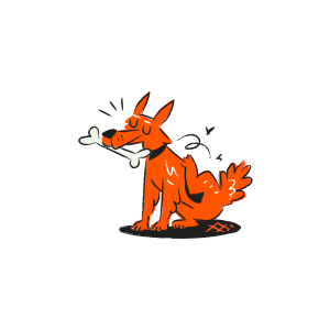 Orange dog scratching itself while holding a bone