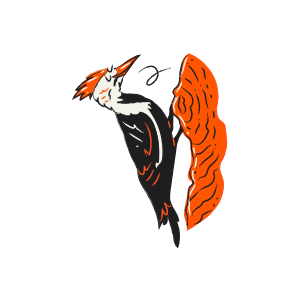 Woodpecker pecking on a tree trunk