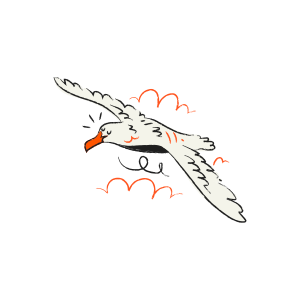 A cartoon albatross flying through the clouds