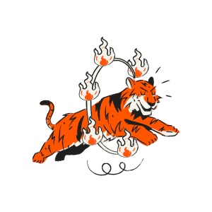 Tiger jumping through a flaming hoop
