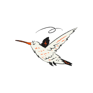 A stylized drawing of a hummingbird in flight.