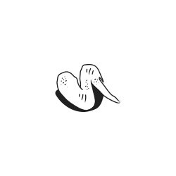 A simple line drawing of a chicken wing